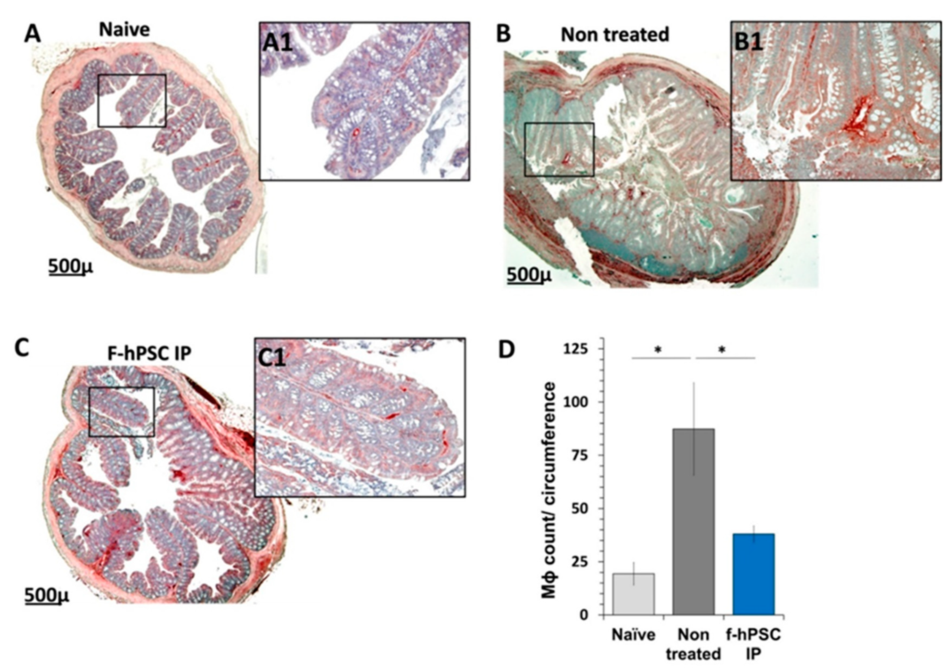 Preprints 139334 g005