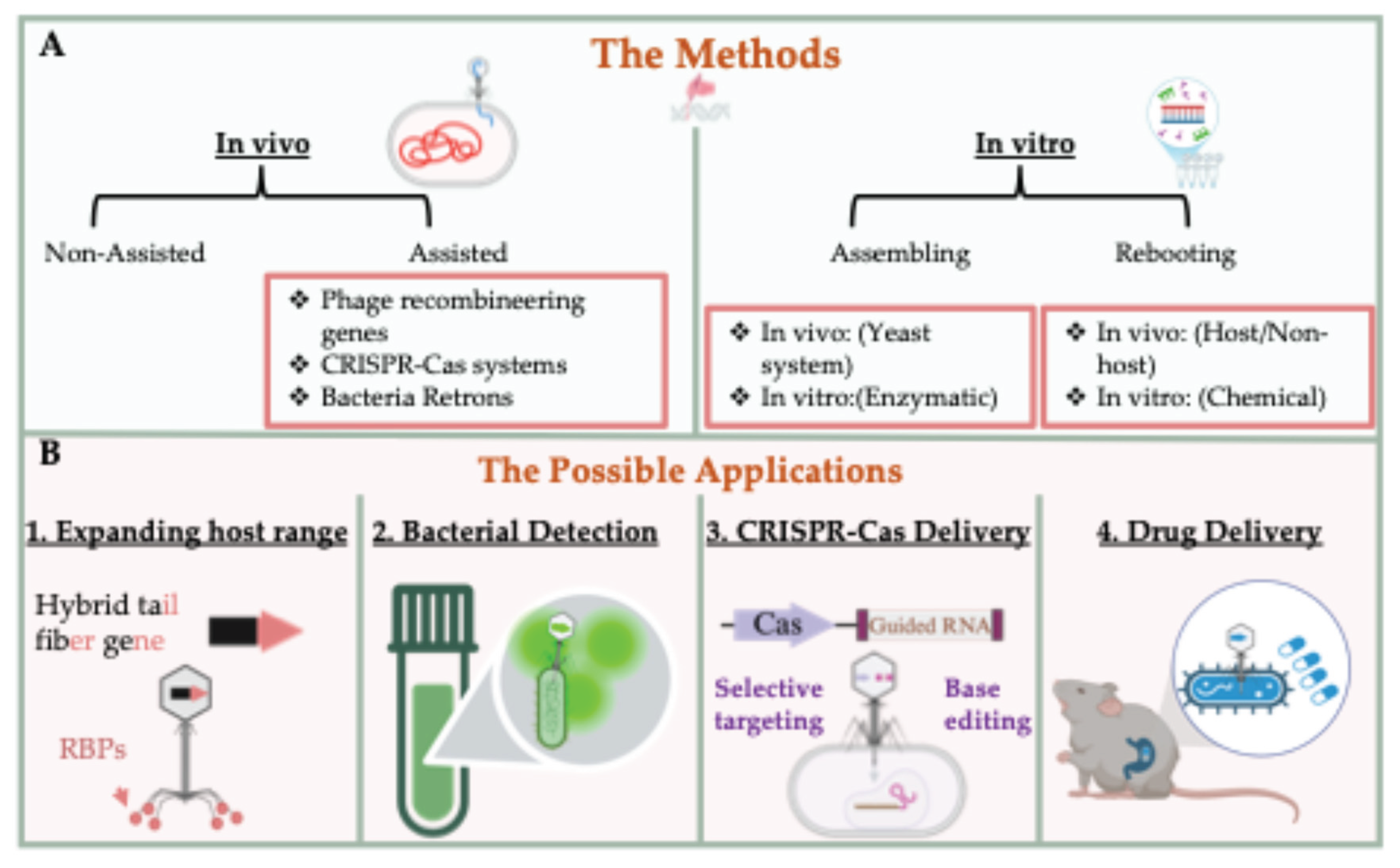Preprints 164997 g001