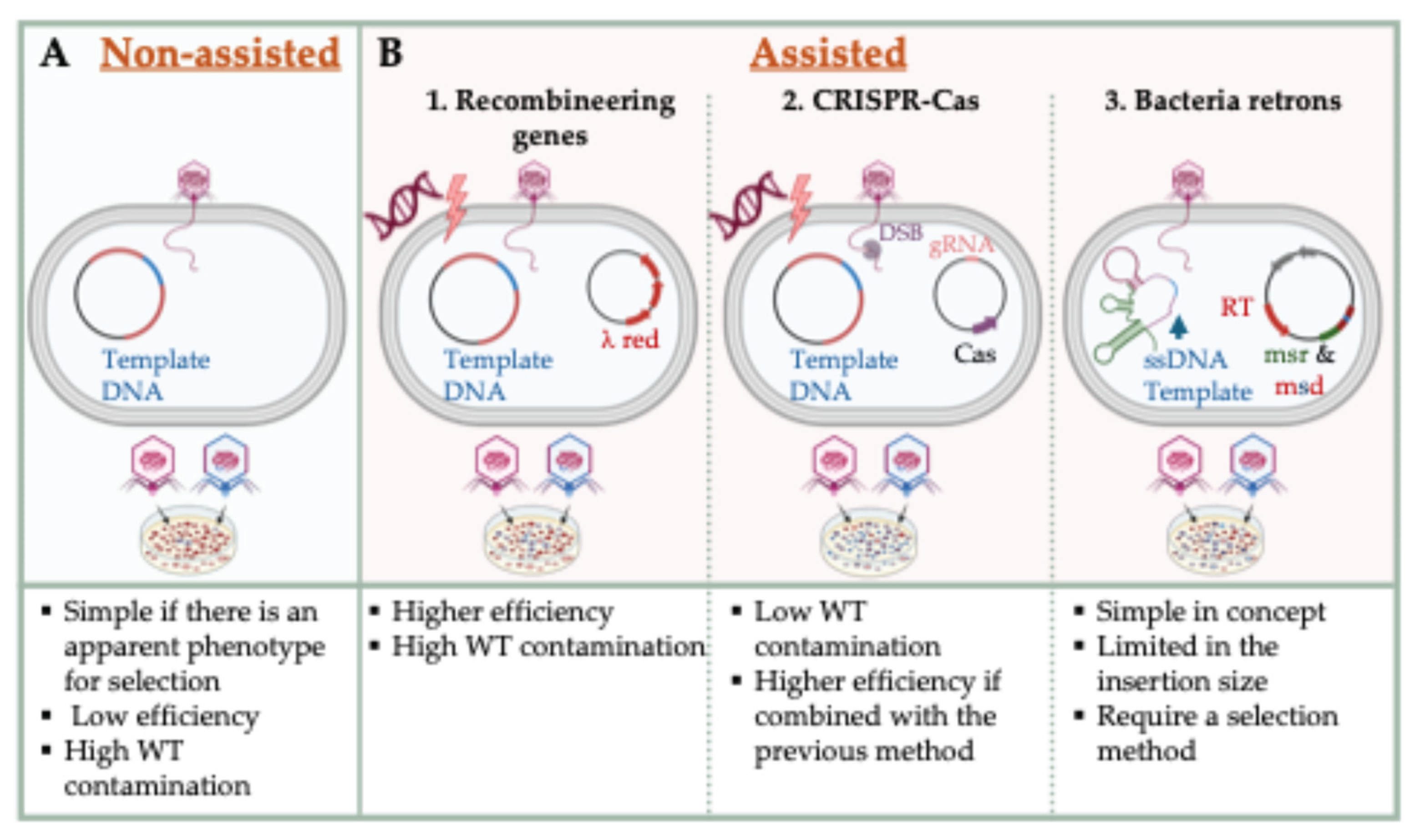 Preprints 164997 g002