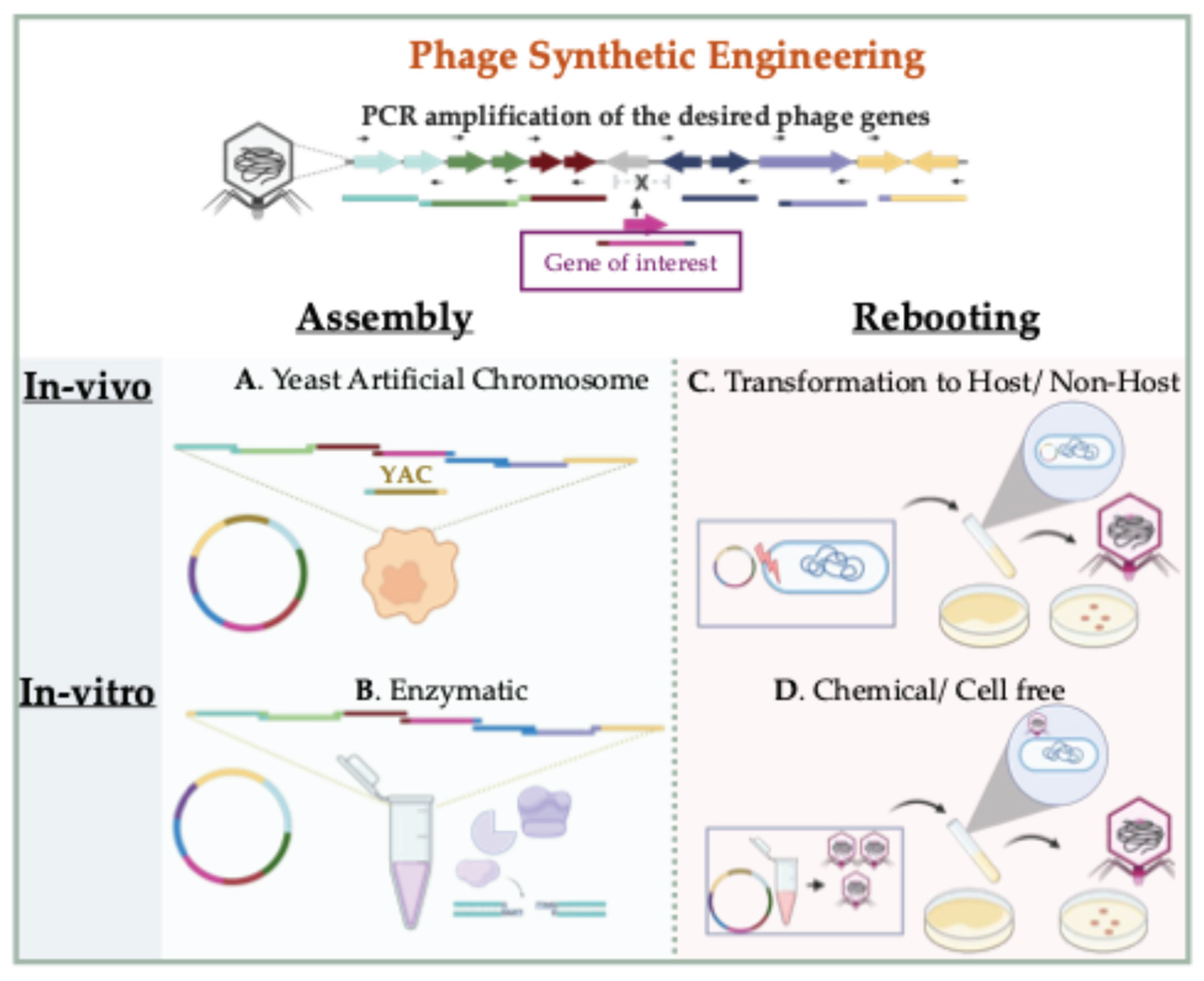 Preprints 164997 g003