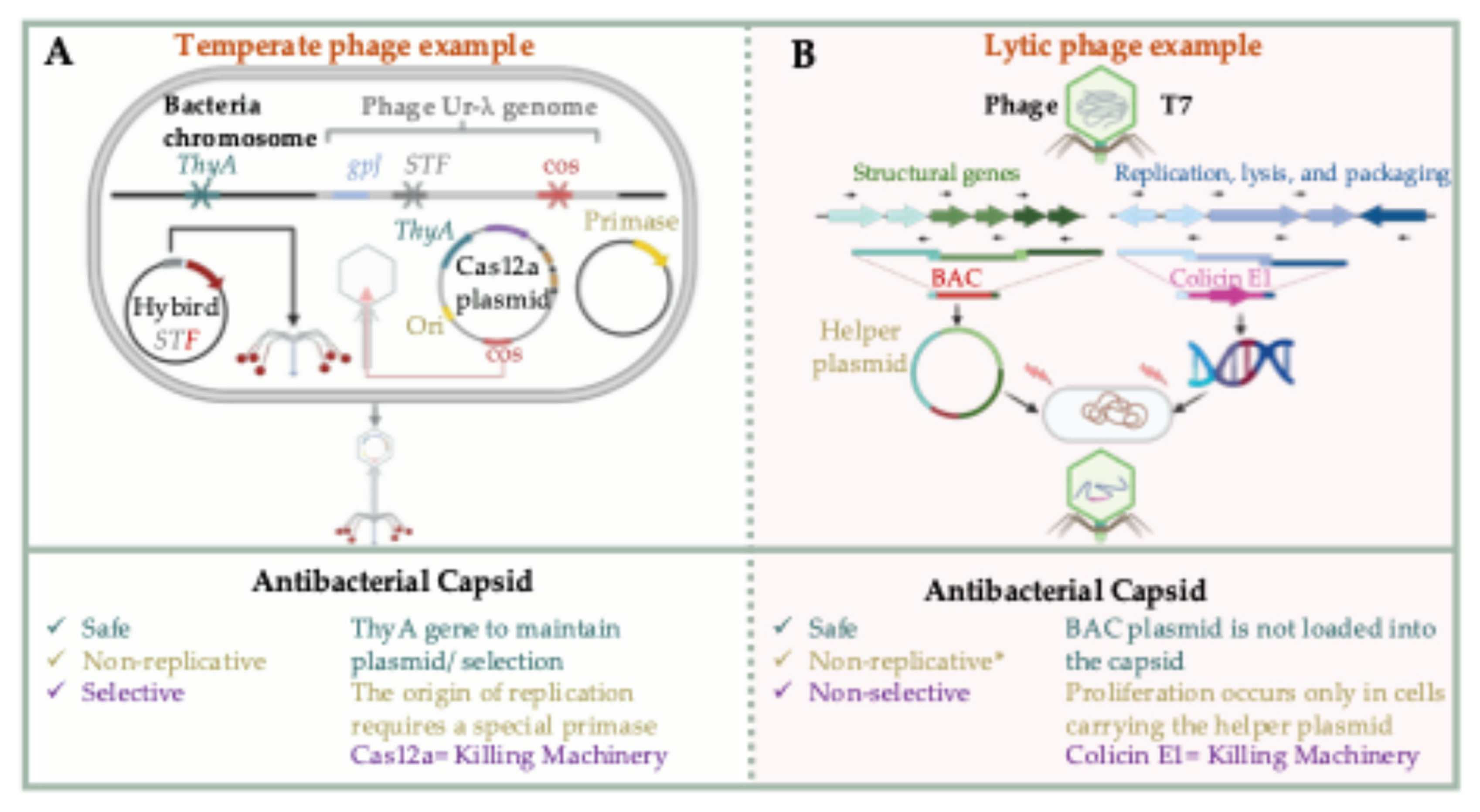 Preprints 164997 g004