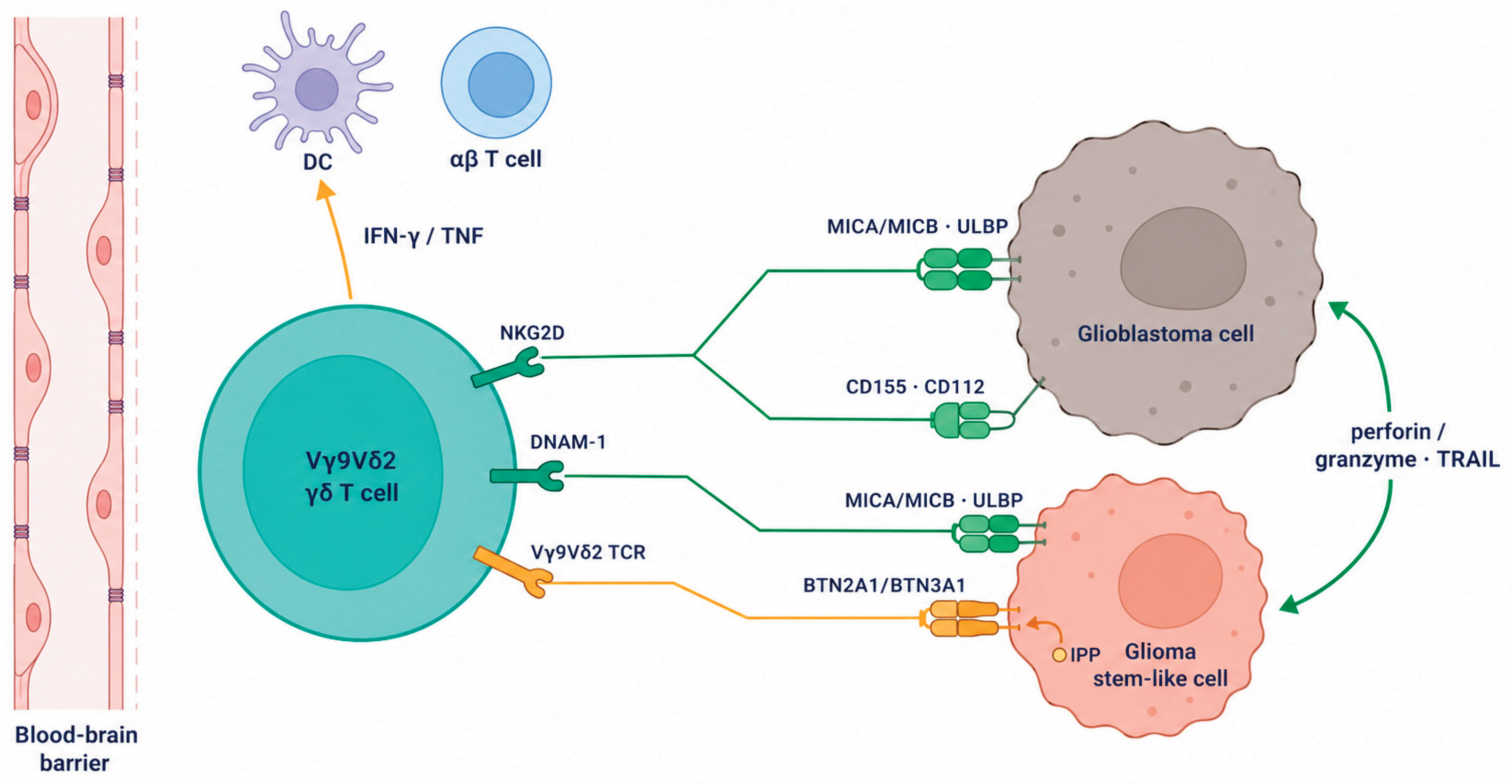 Preprints 221289 g001 Preprints 221289 g001