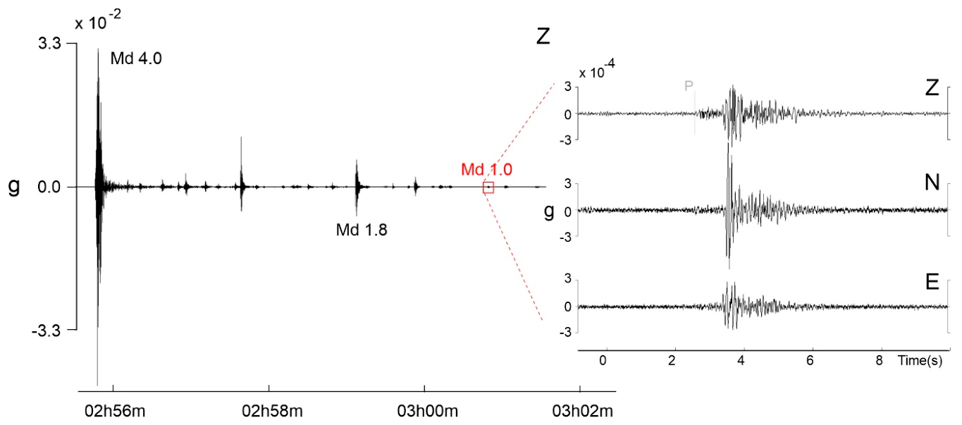 Preprints 222584 g012