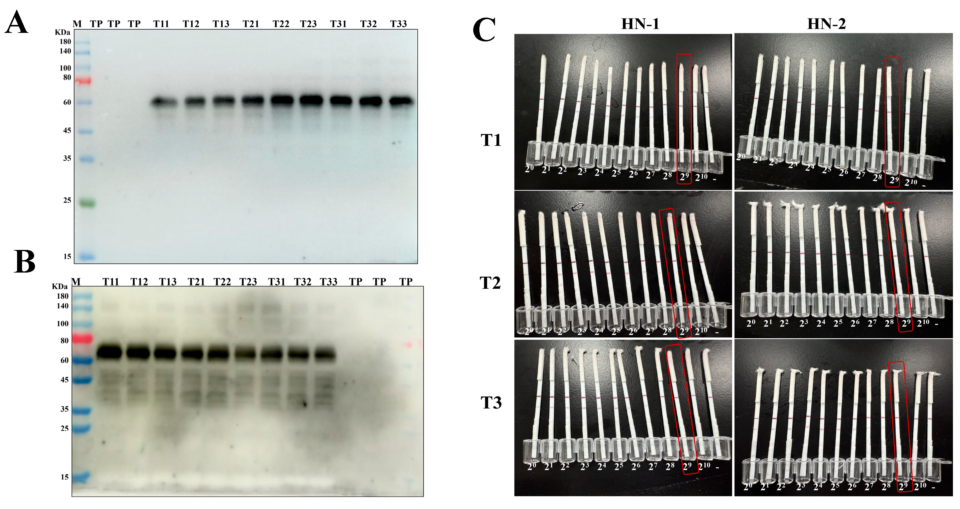 Preprints 201021 g004