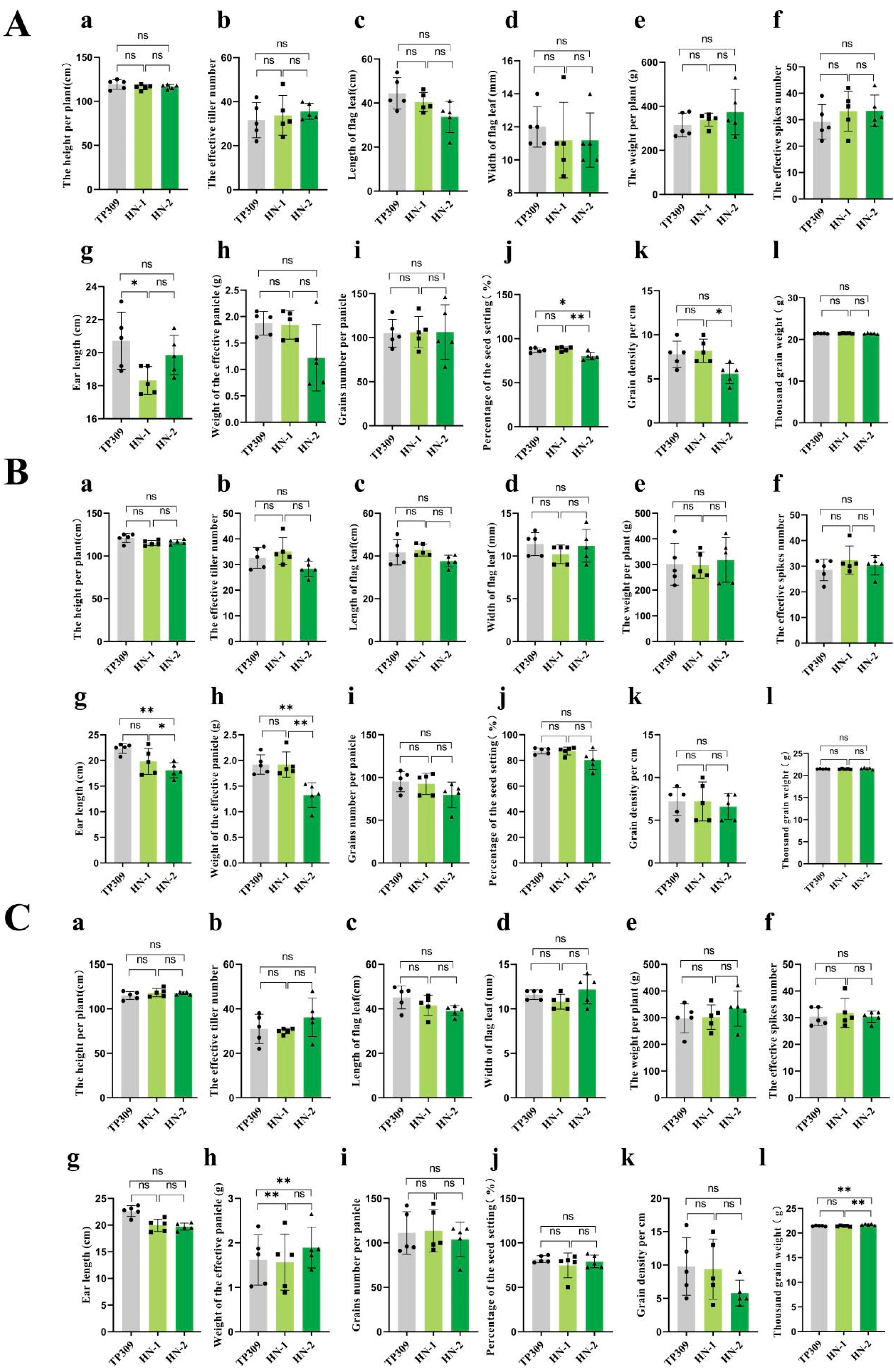 Preprints 201021 g005