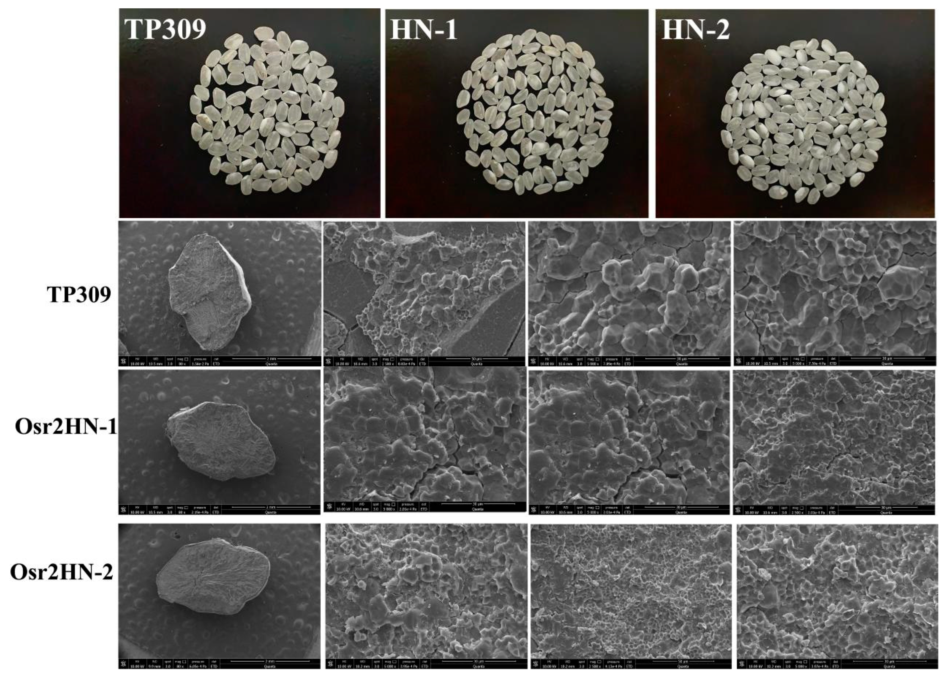 Preprints 201021 g007