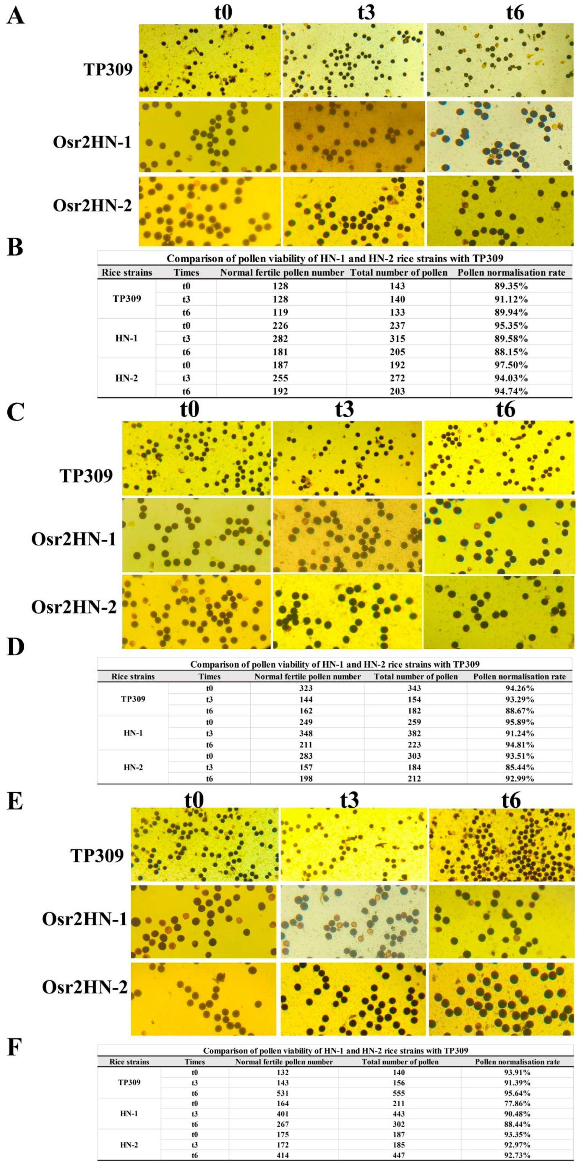 Preprints 201021 g009