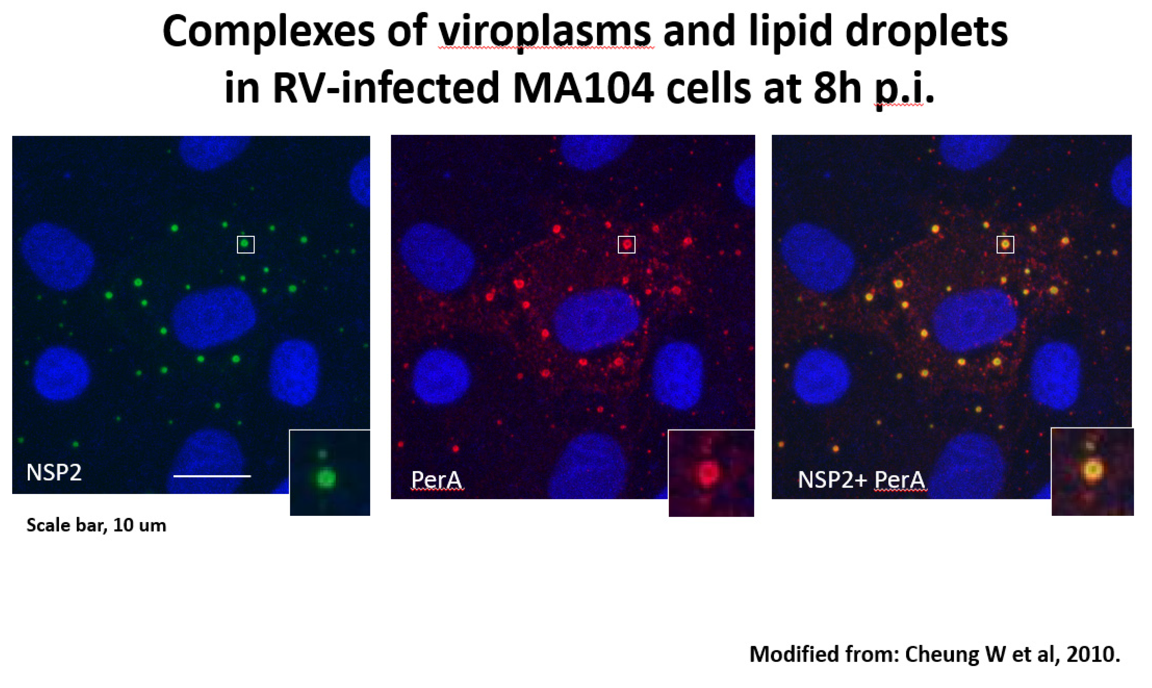 Preprints 103992 g001