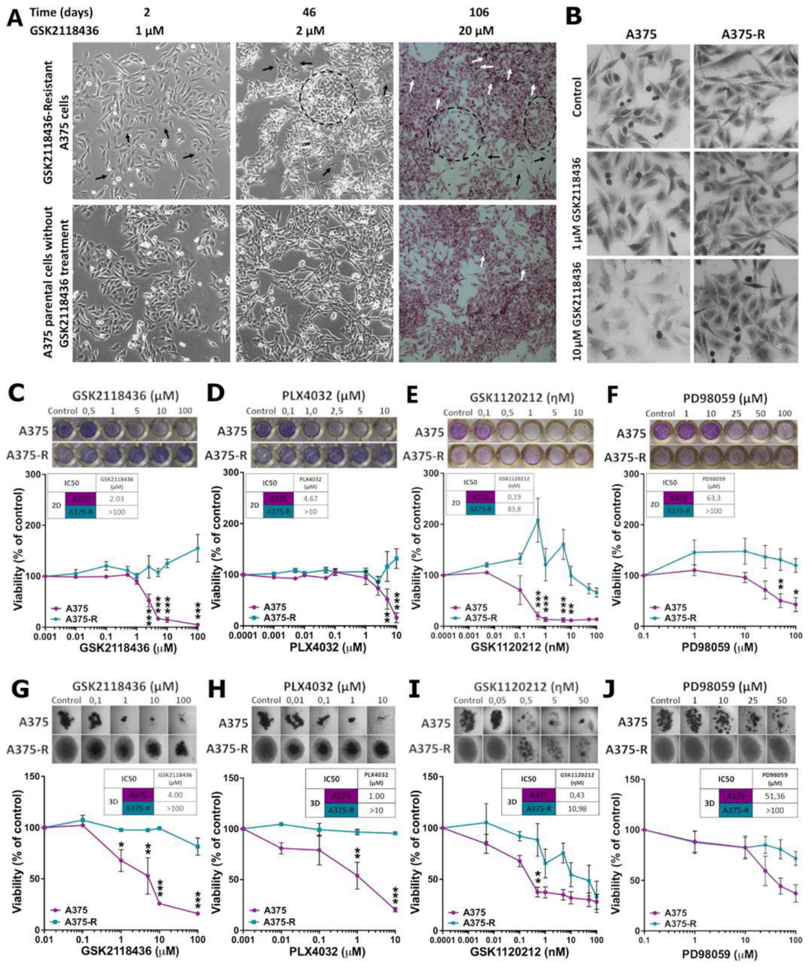 Preprints 224375 g001 Preprints 224375 g001