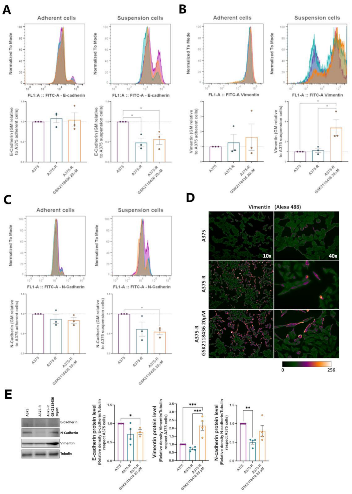Preprints 224375 g002 Preprints 224375 g002