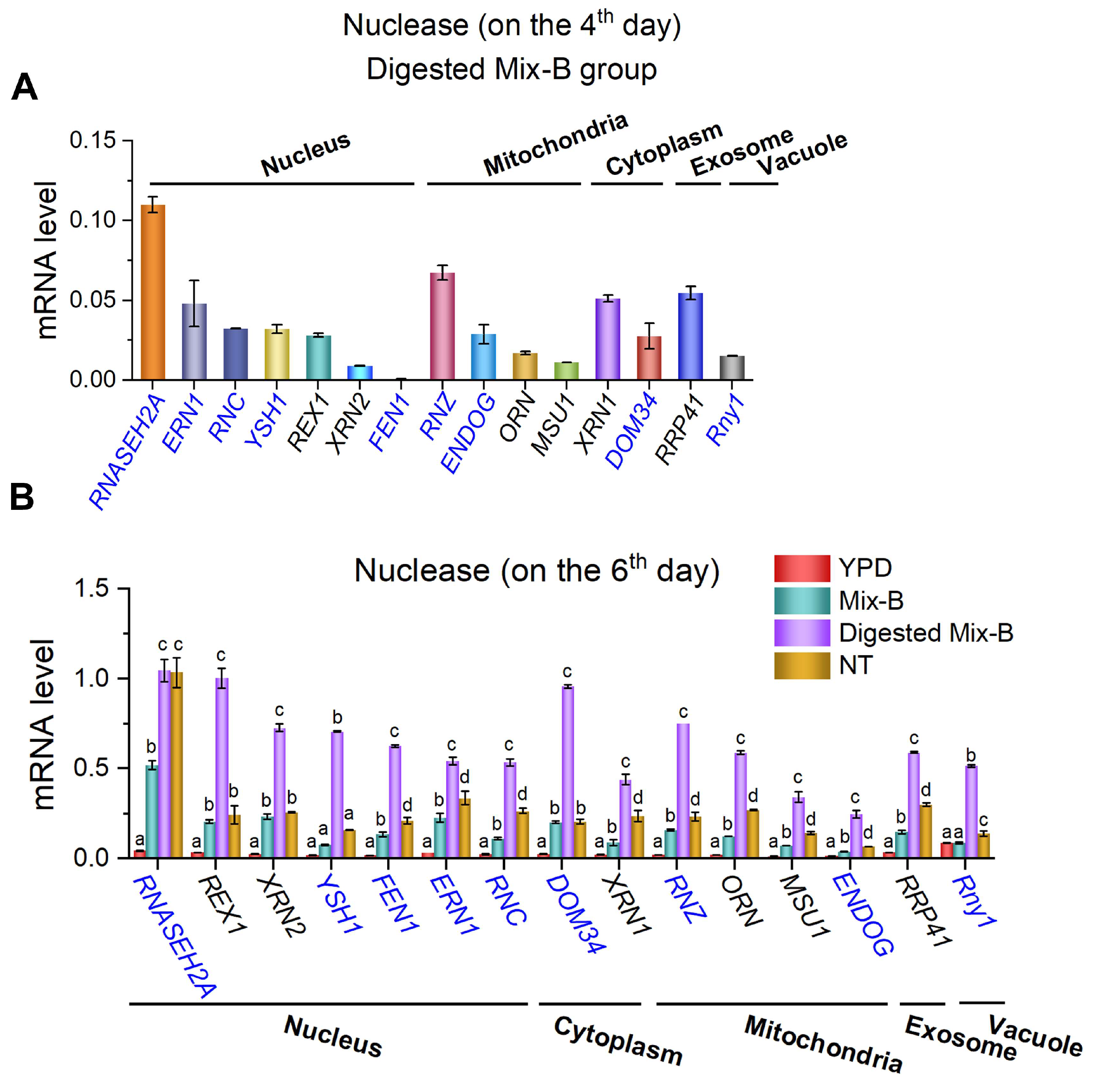 Preprints 155937 g004