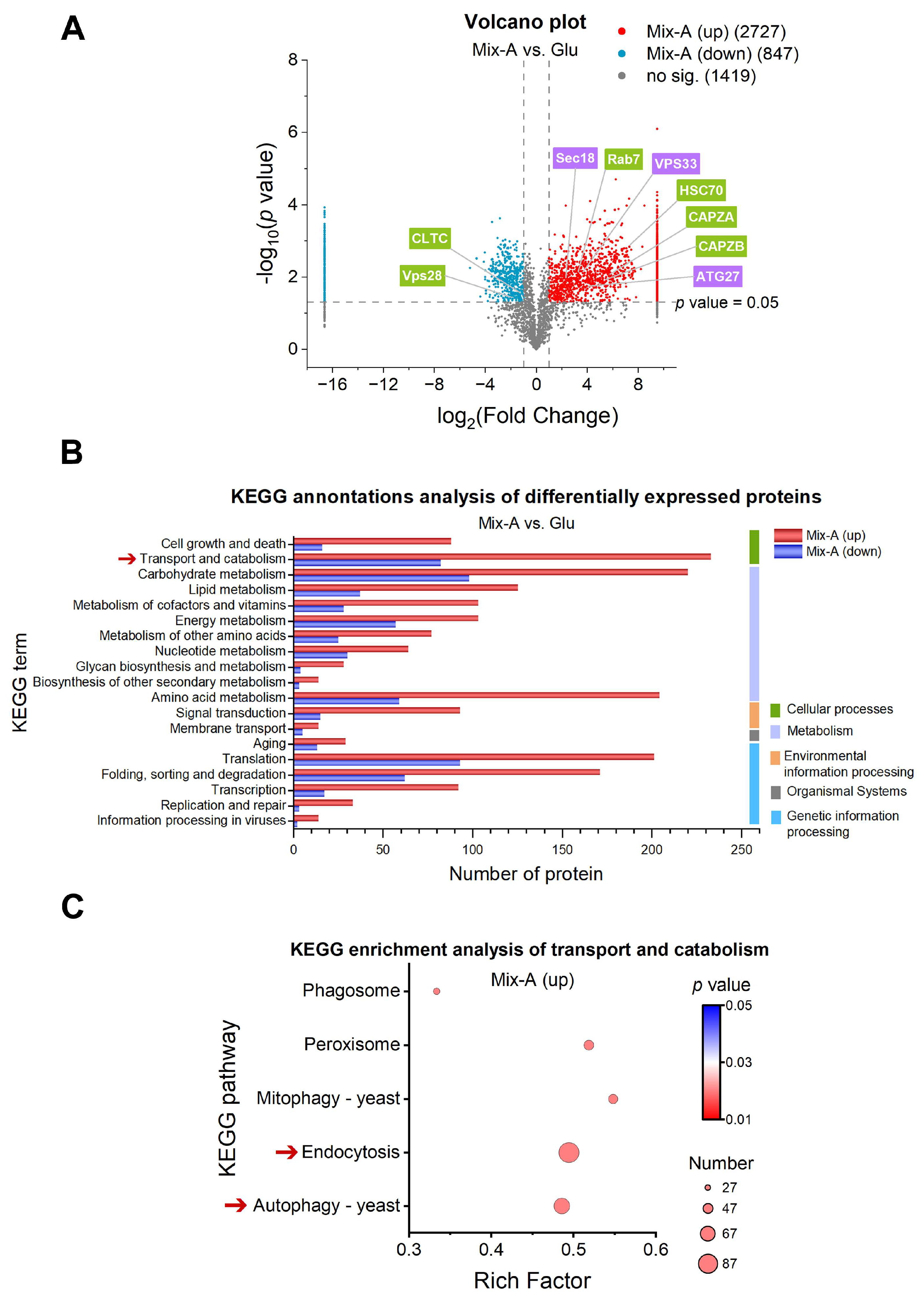 Preprints 155937 g005