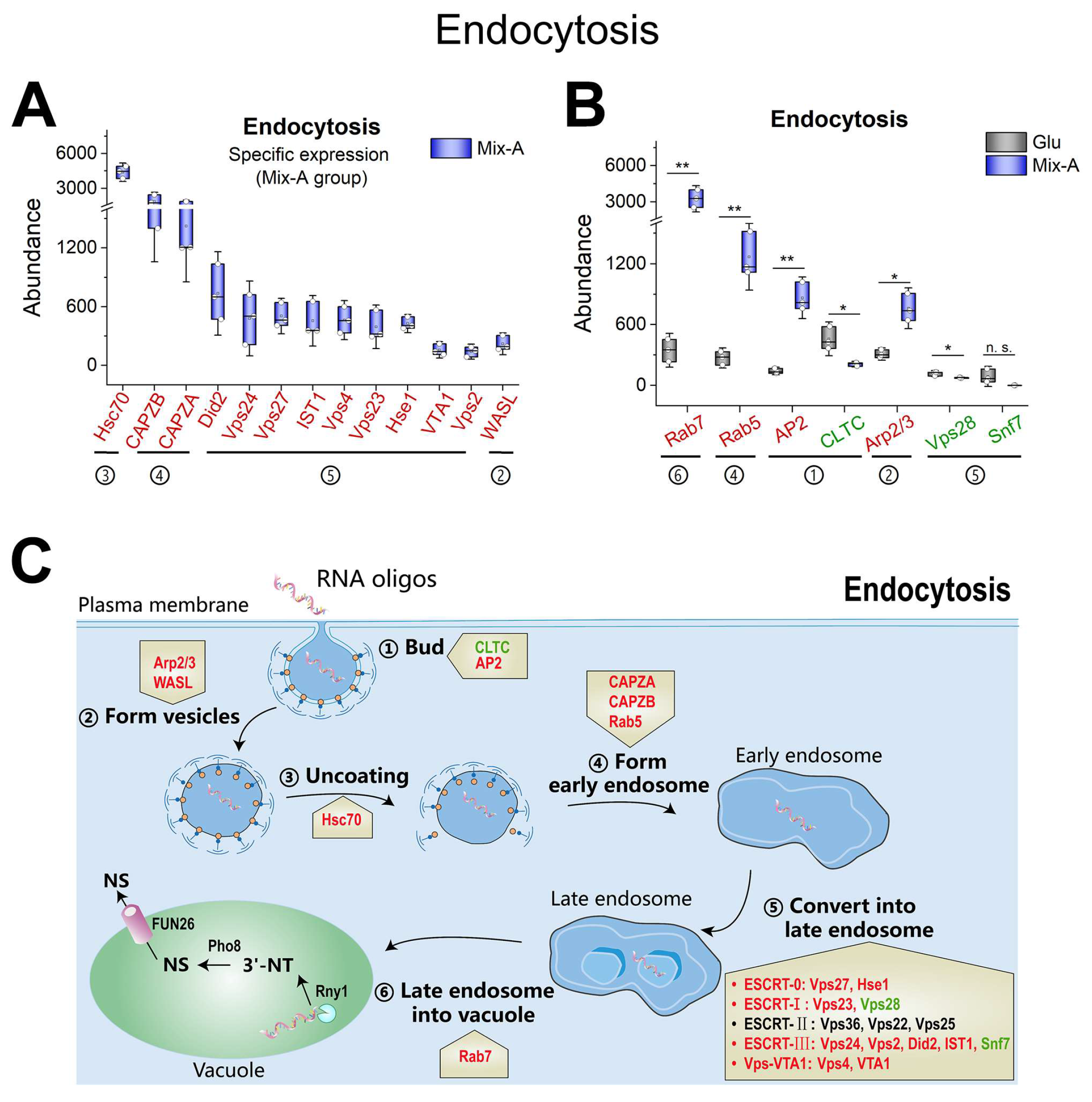 Preprints 155937 g006