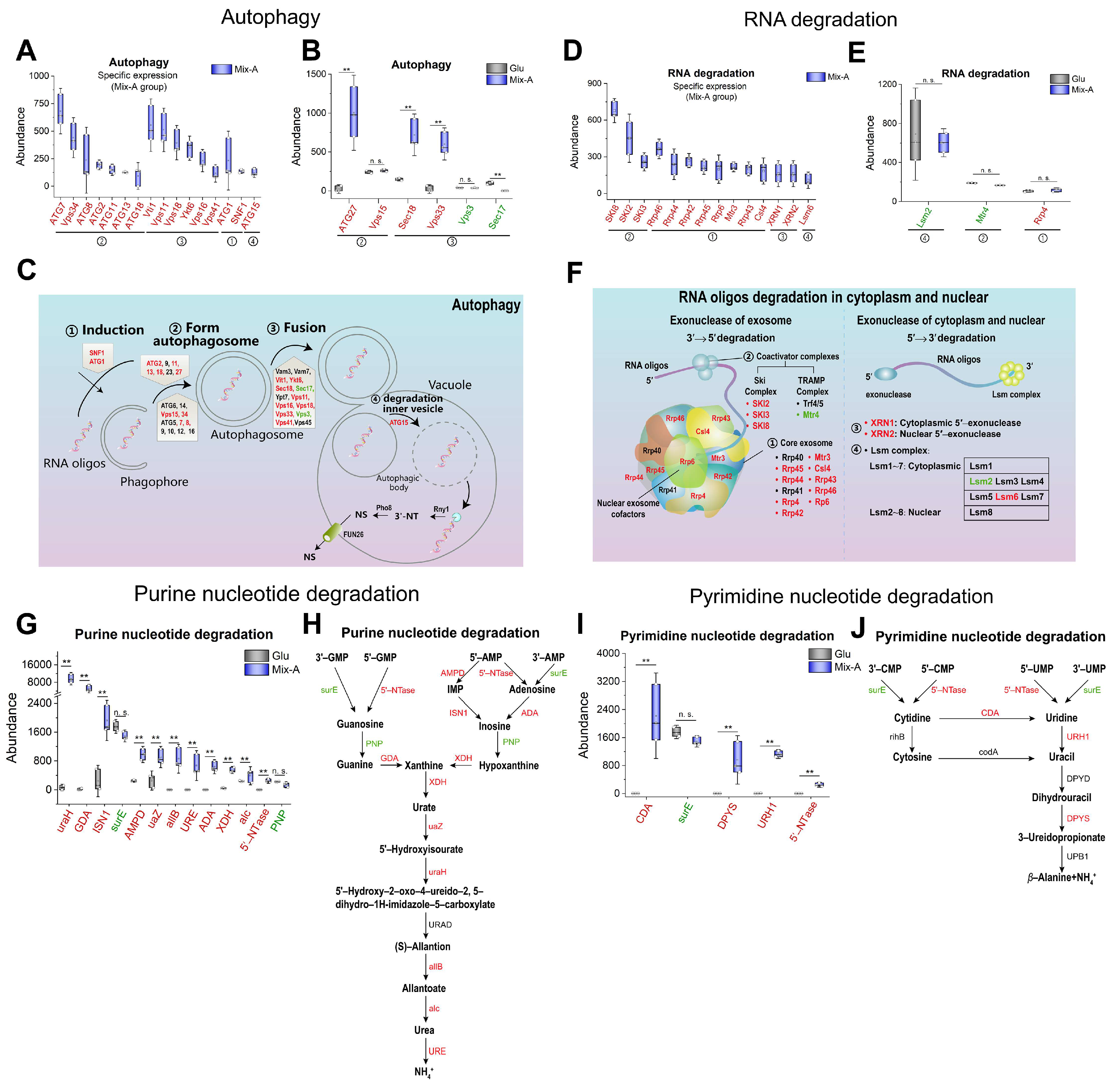 Preprints 155937 g007
