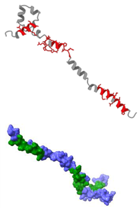 Preprints 200296 i002