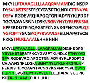 Preprints 200296 i003