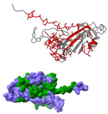Preprints 200296 i004