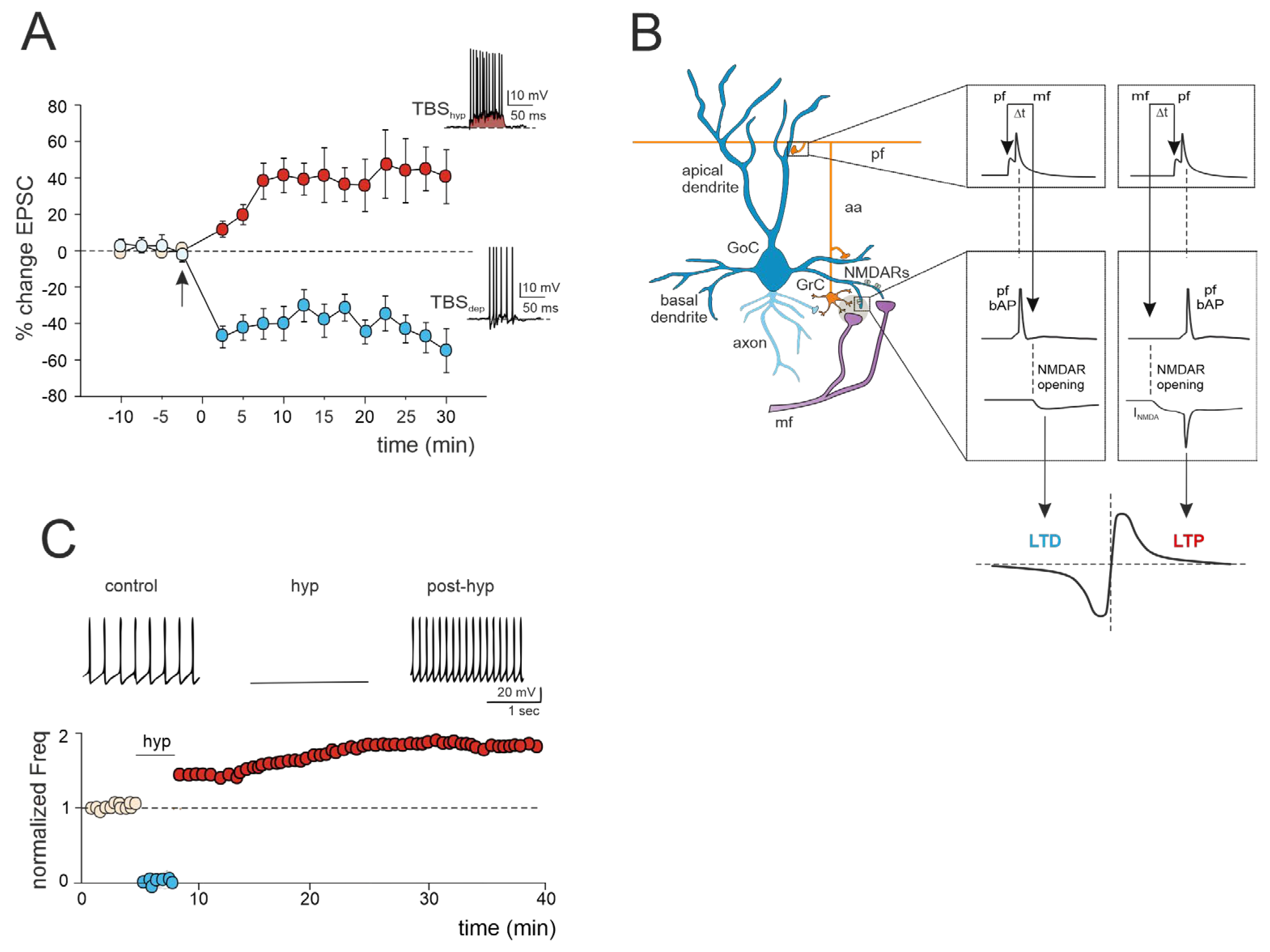 Preprints 105475 g002
