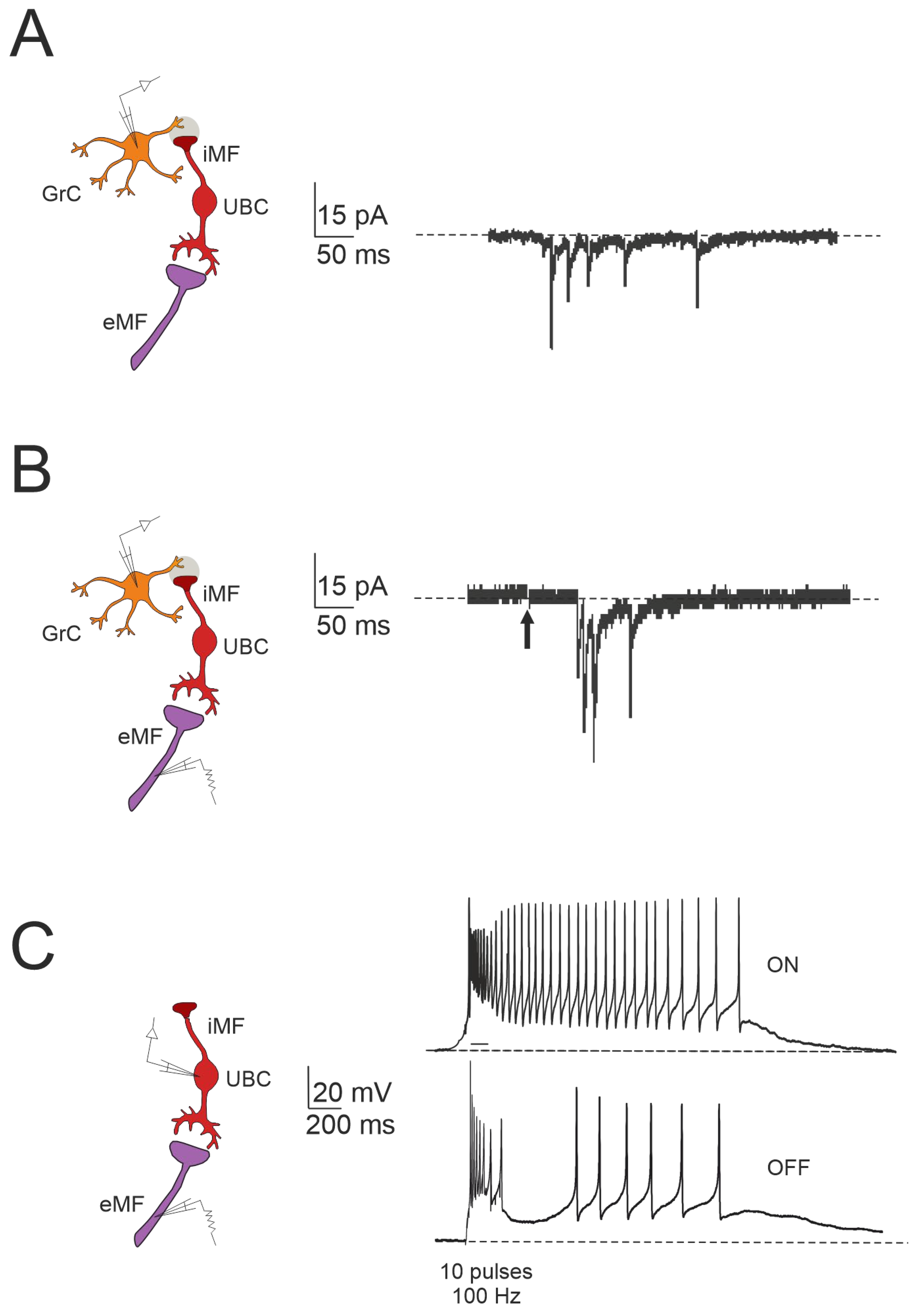 Preprints 105475 g003
