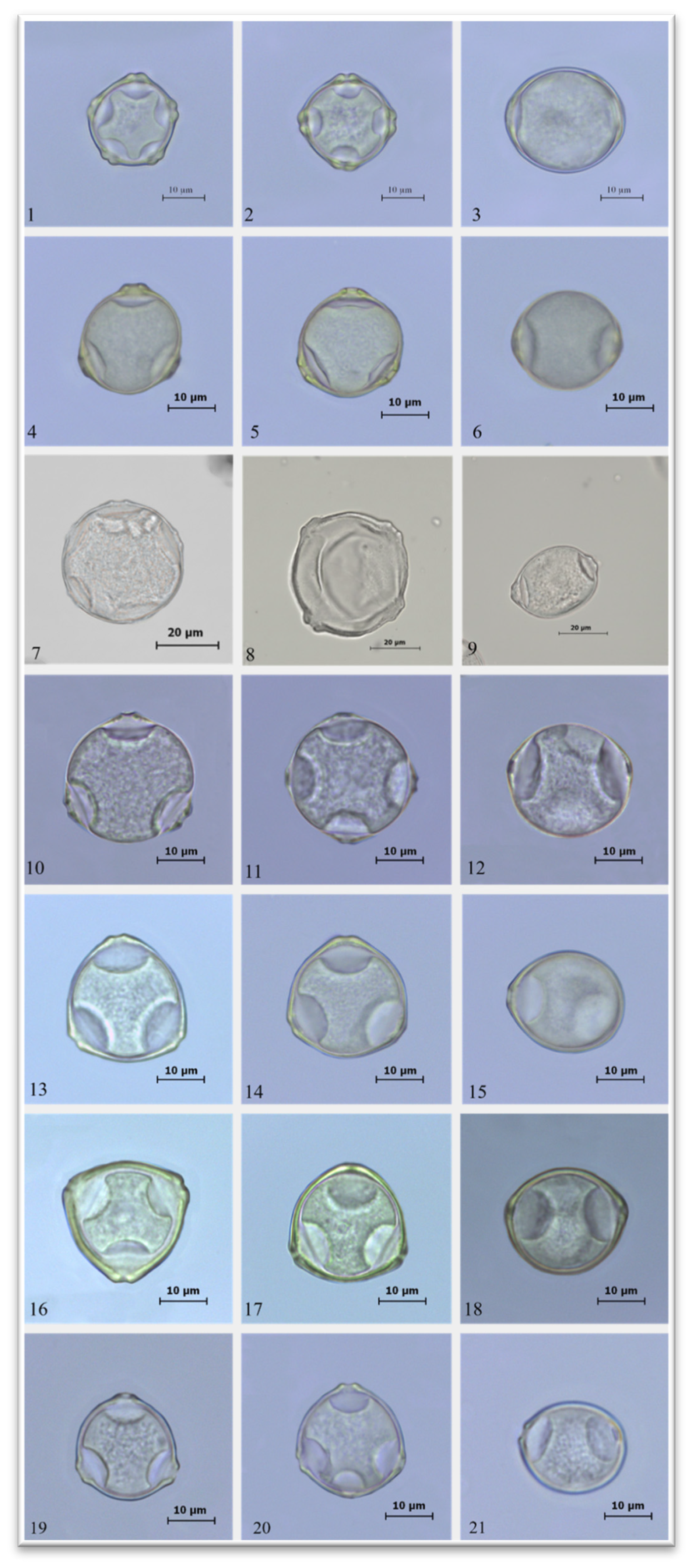 Preprints 199441 g001