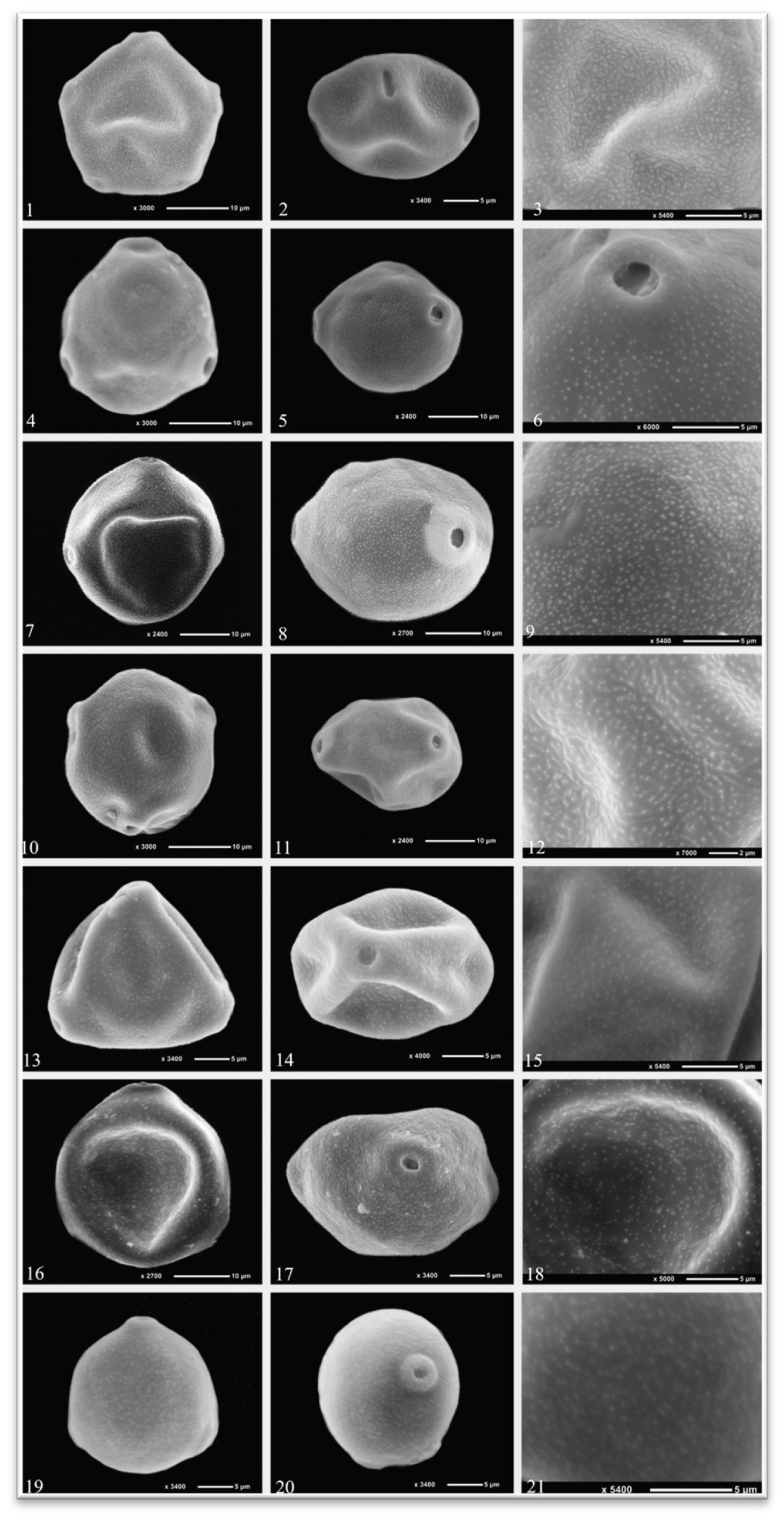 Preprints 199441 g002