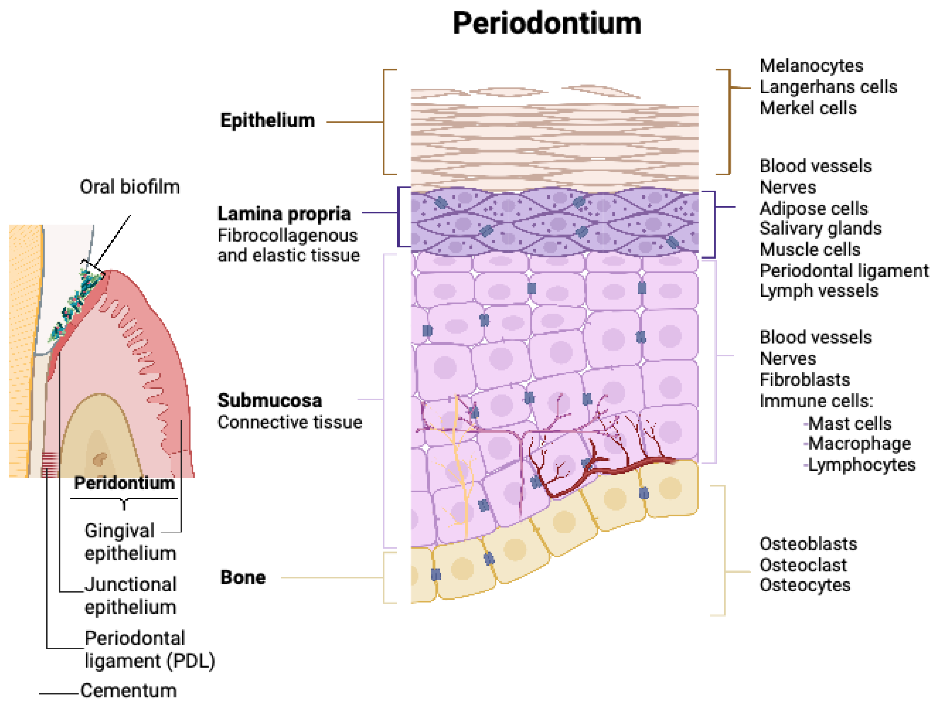Preprints 75291 g001