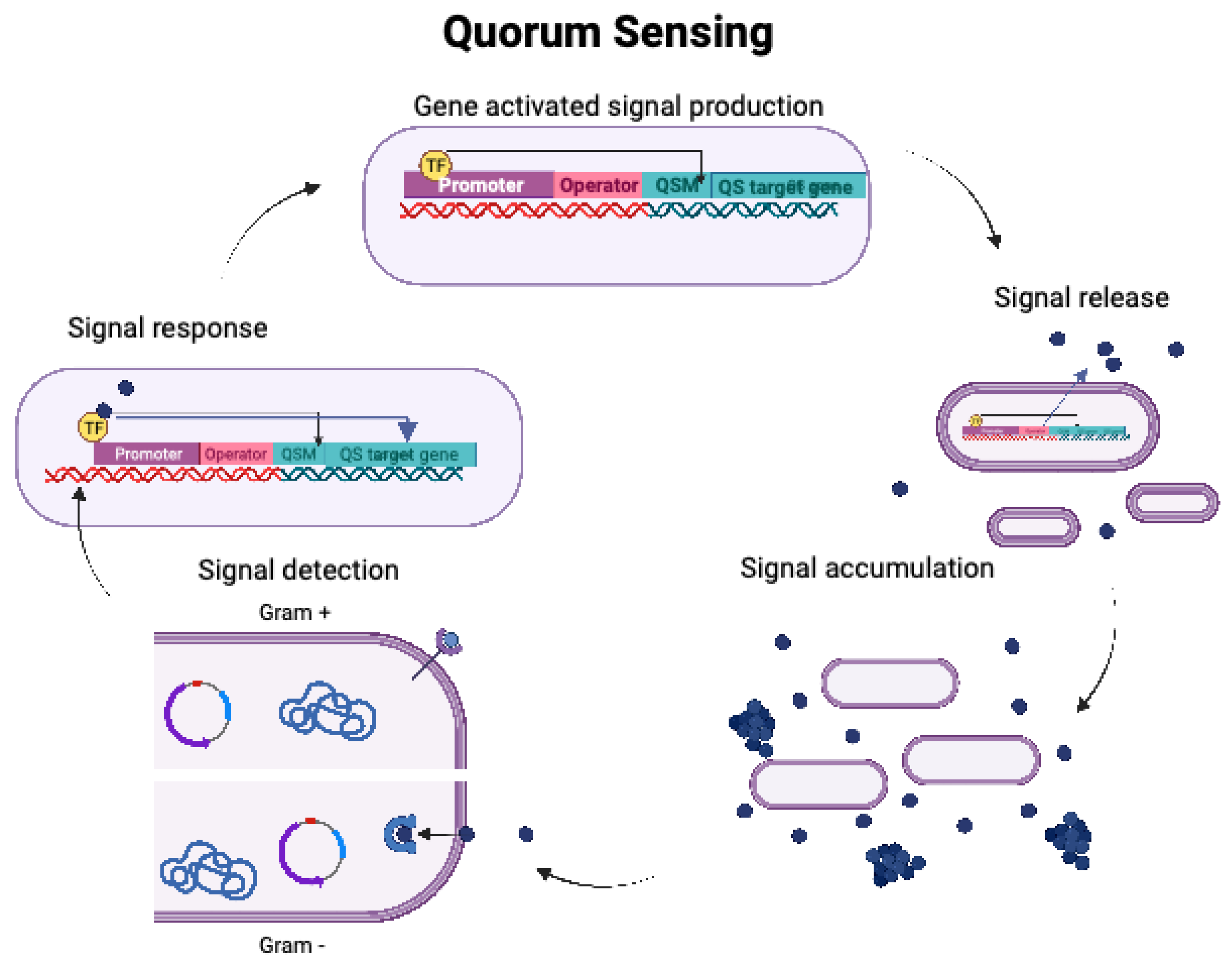 Preprints 75291 g002