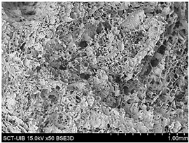 Preprints 138256 i013