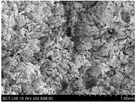 Preprints 138256 i015