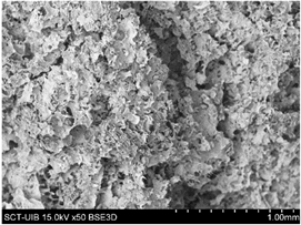 Preprints 138256 i016