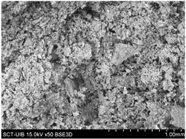 Preprints 138256 i017