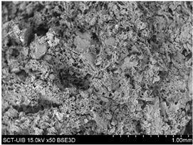 Preprints 138256 i018