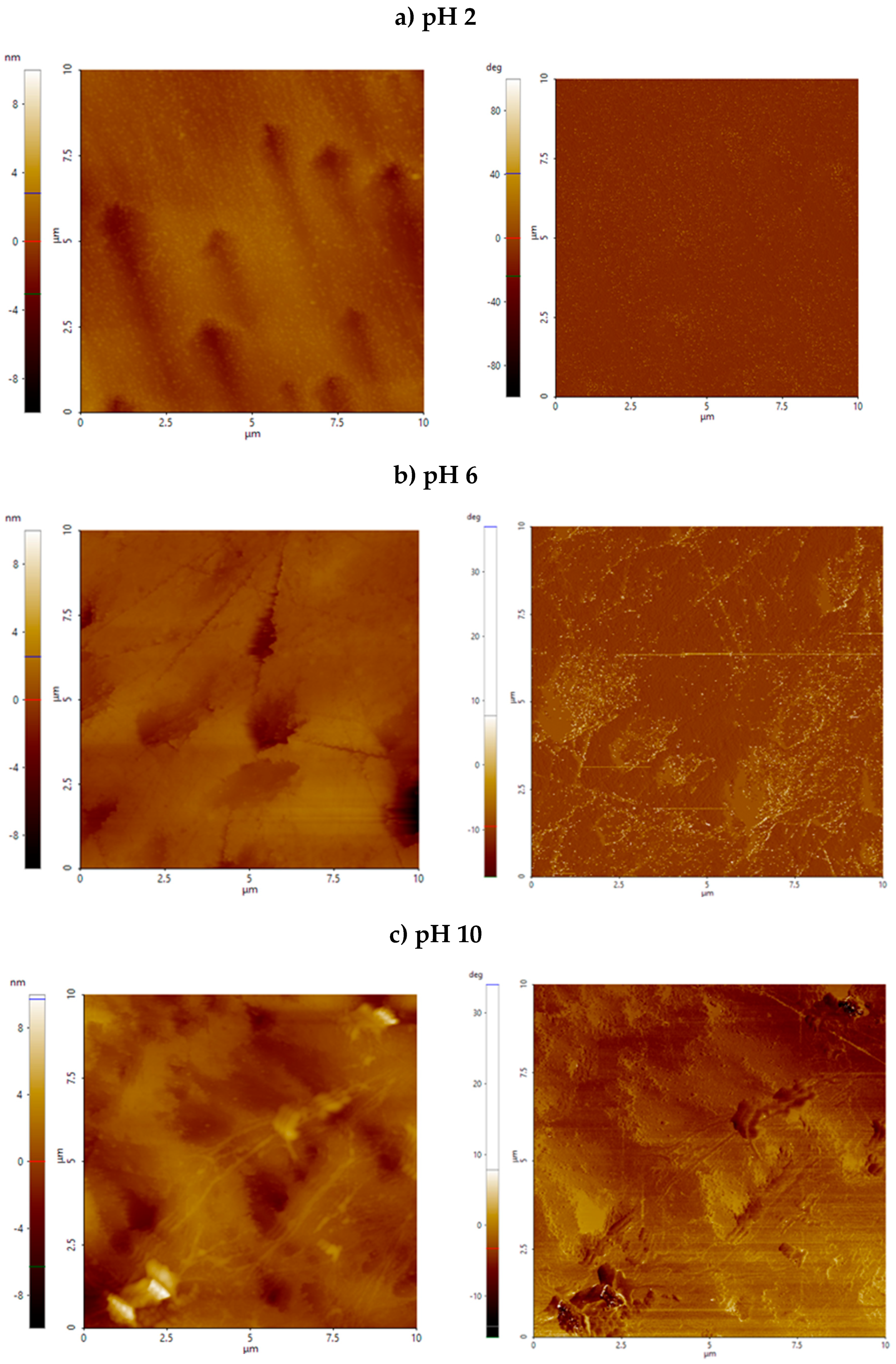 Preprints 167095 g006