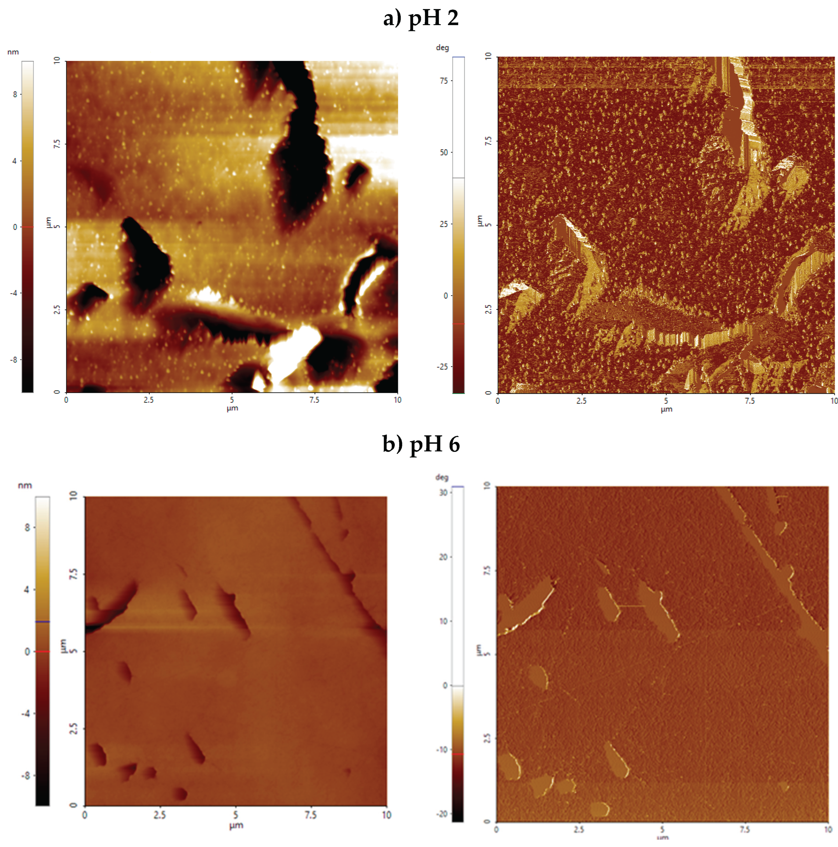 Preprints 167095 g007a