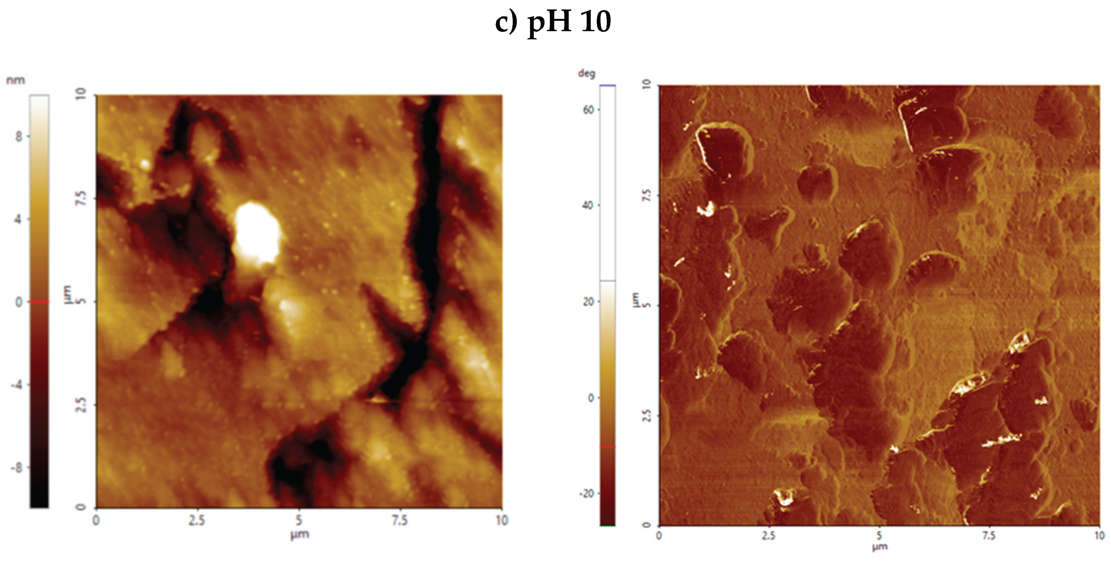 Preprints 167095 g007b