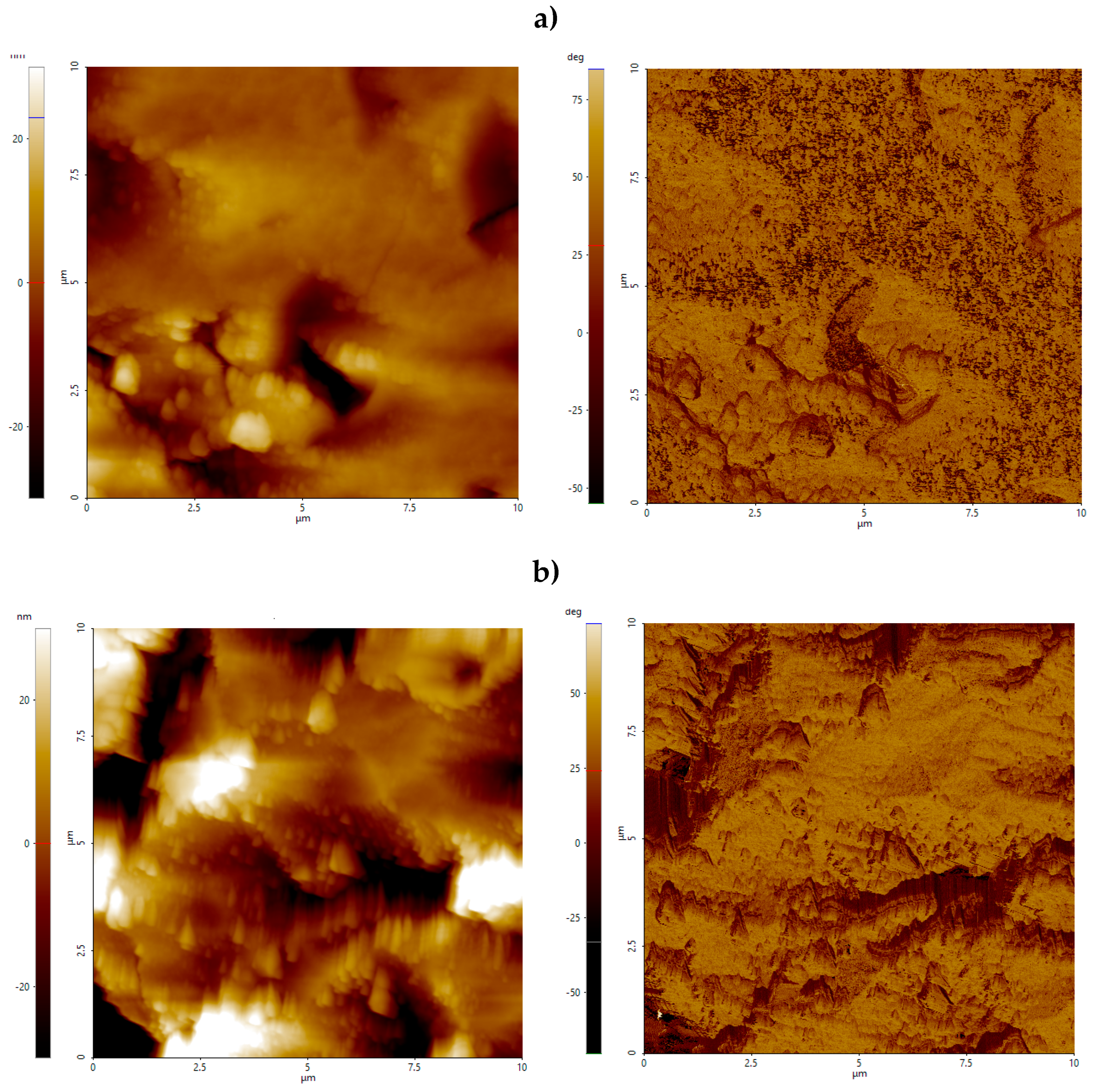 Preprints 167095 g010