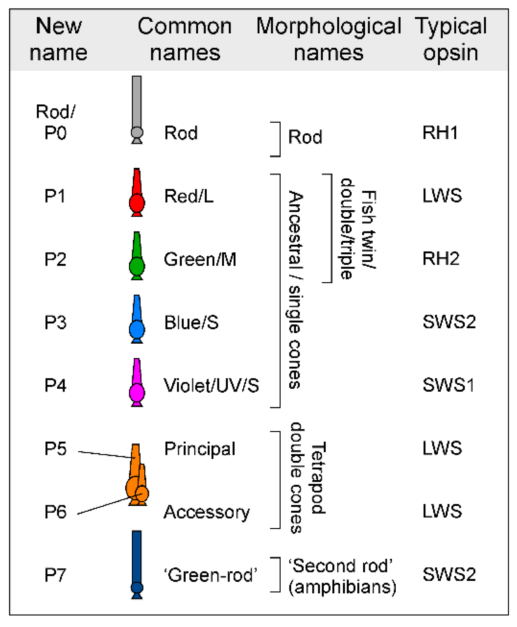 Preprints 148347 g001