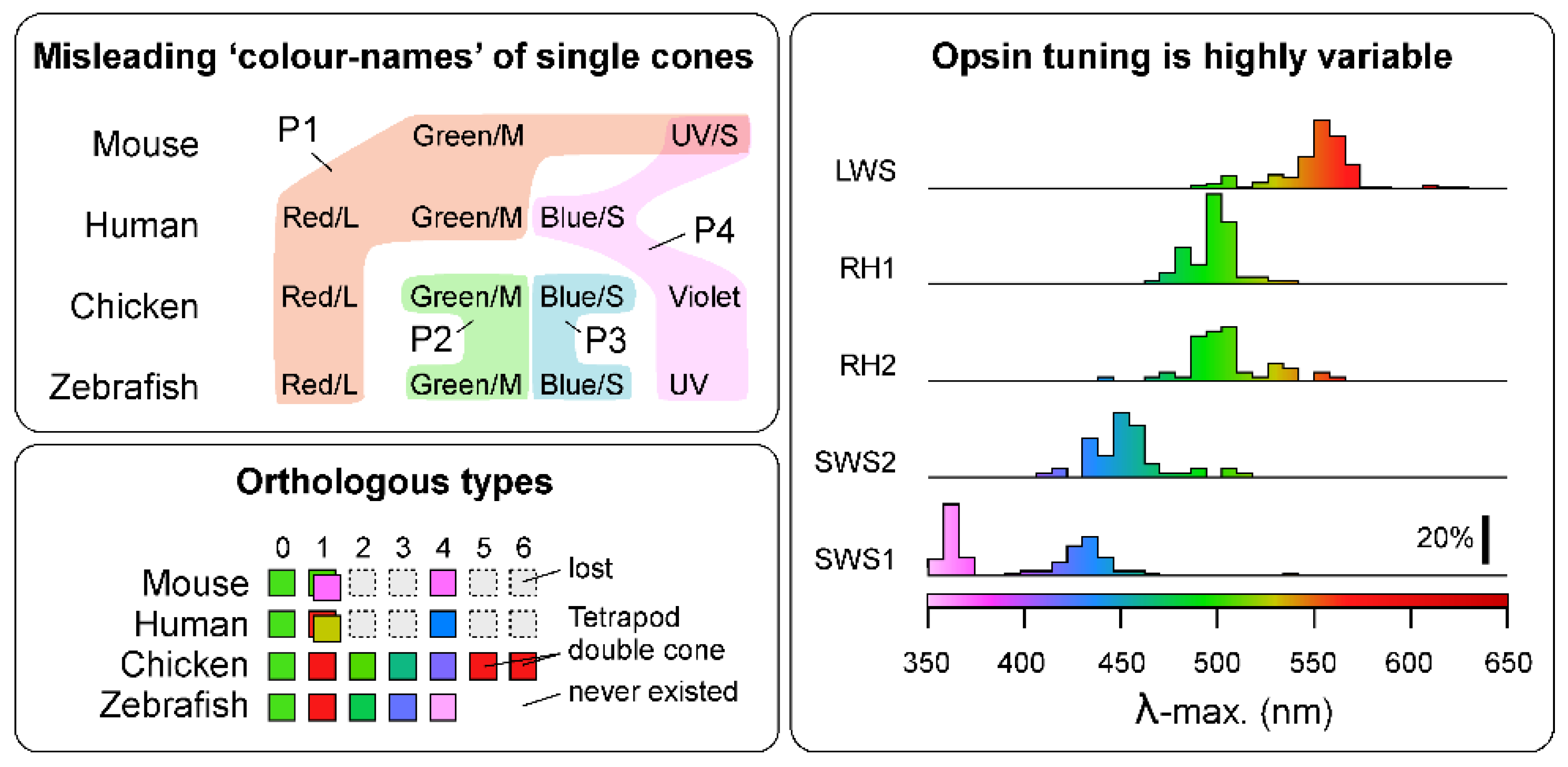 Preprints 148347 g002