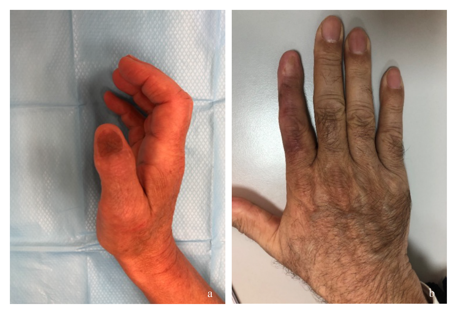 Preprints 162213 g004