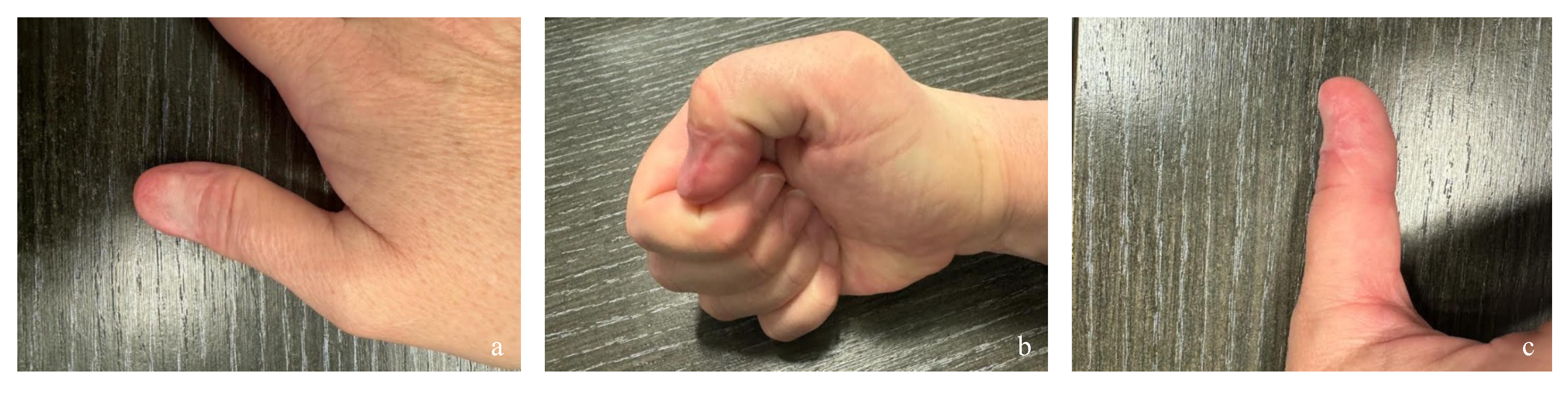 Preprints 162213 g006