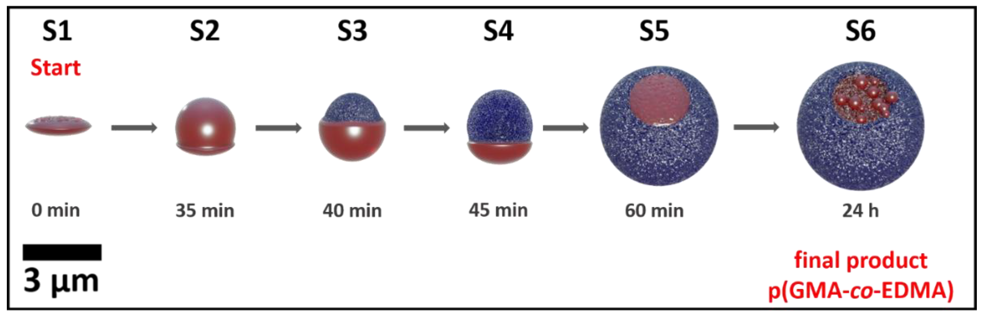 Preprints 221829 g005 Preprints 221829 g005