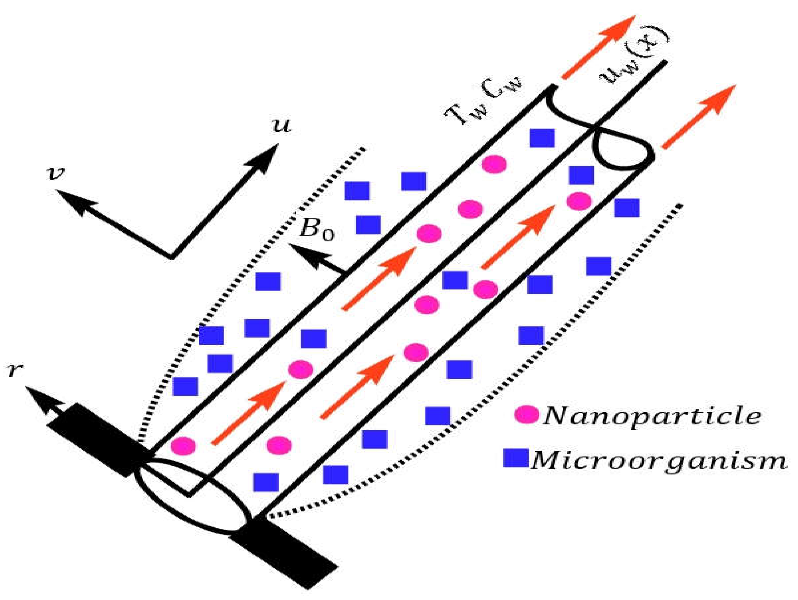 Preprints 79386 g001