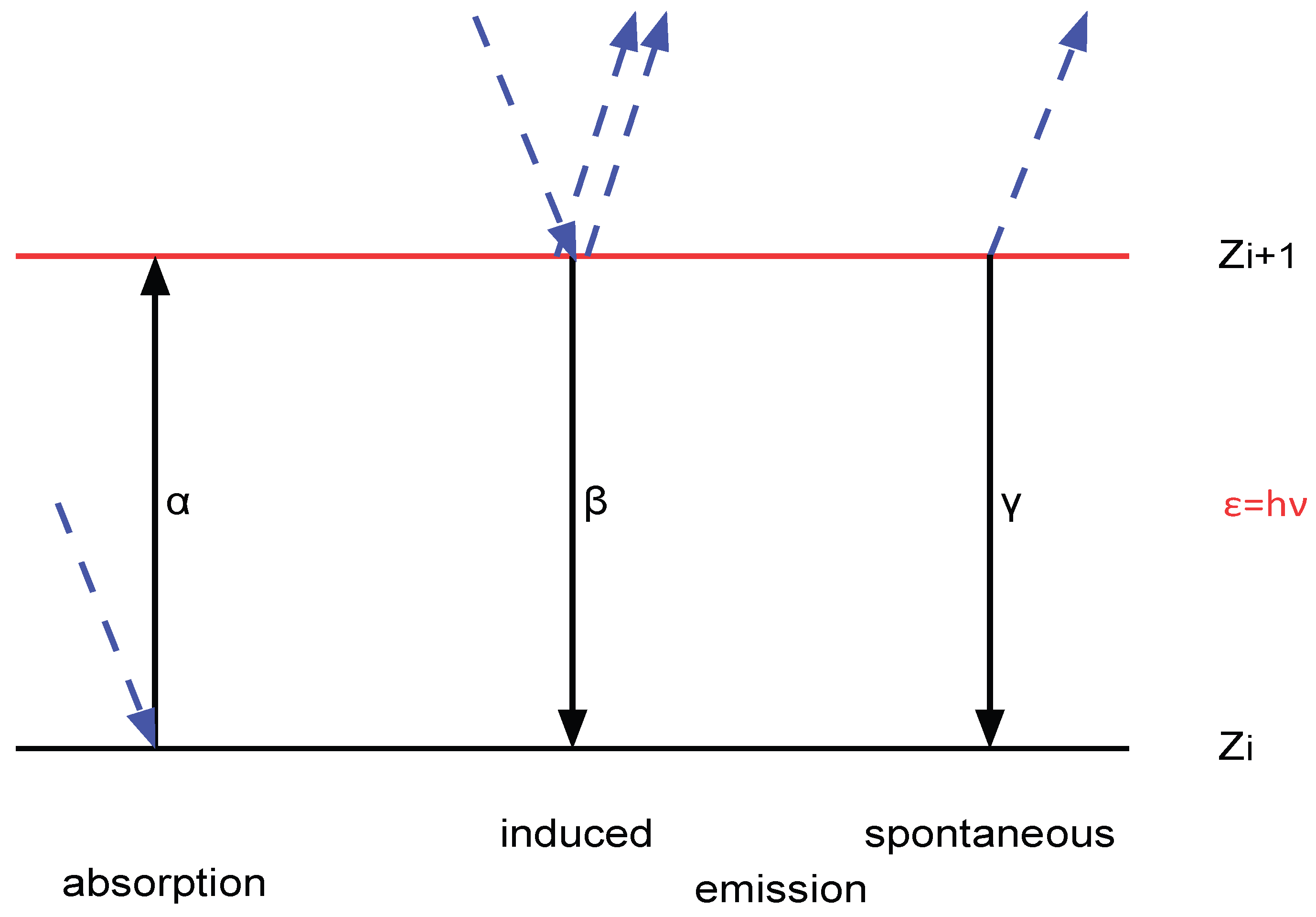 Preprints 195701 g002