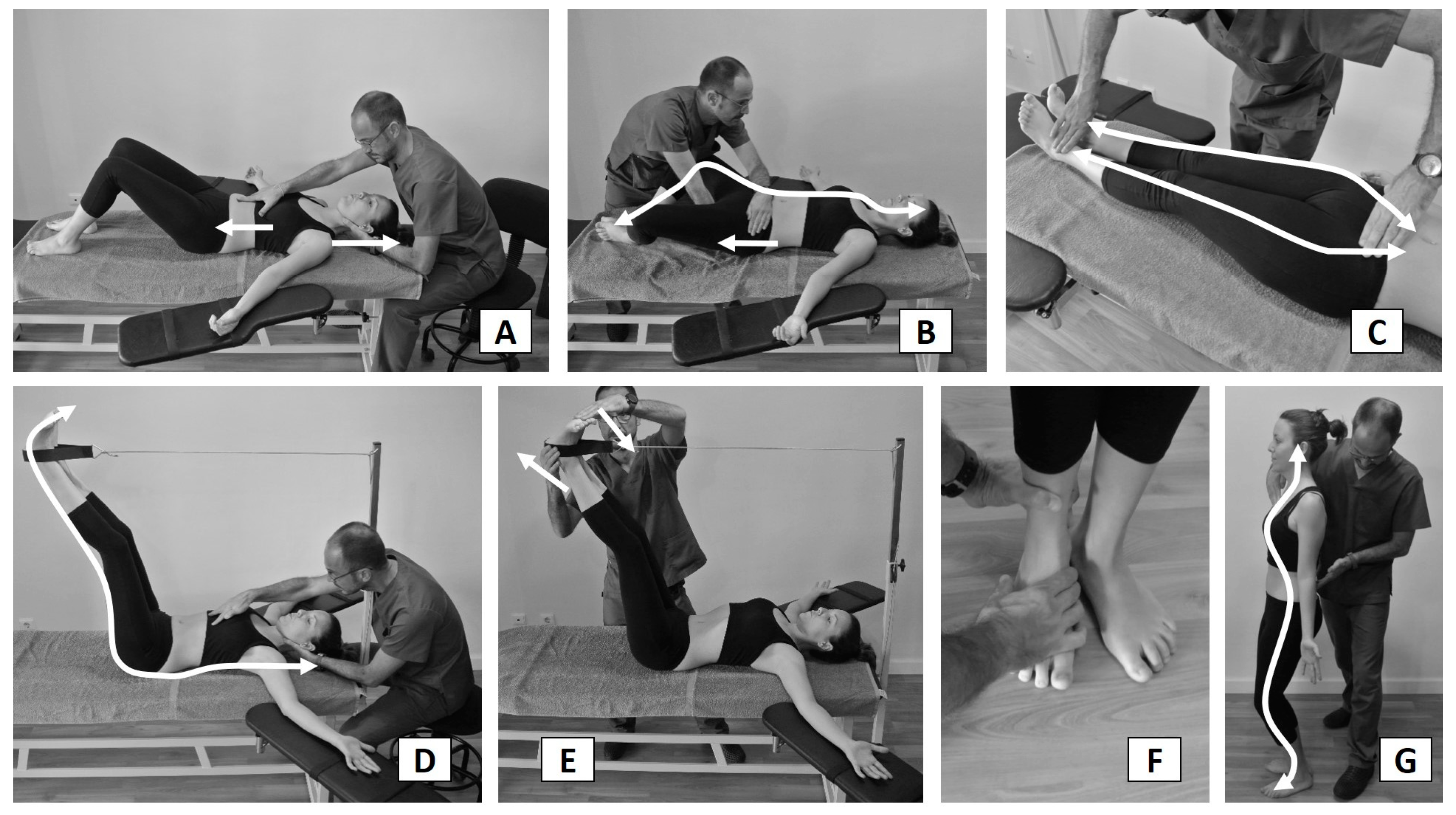 Preprints 102904 g001