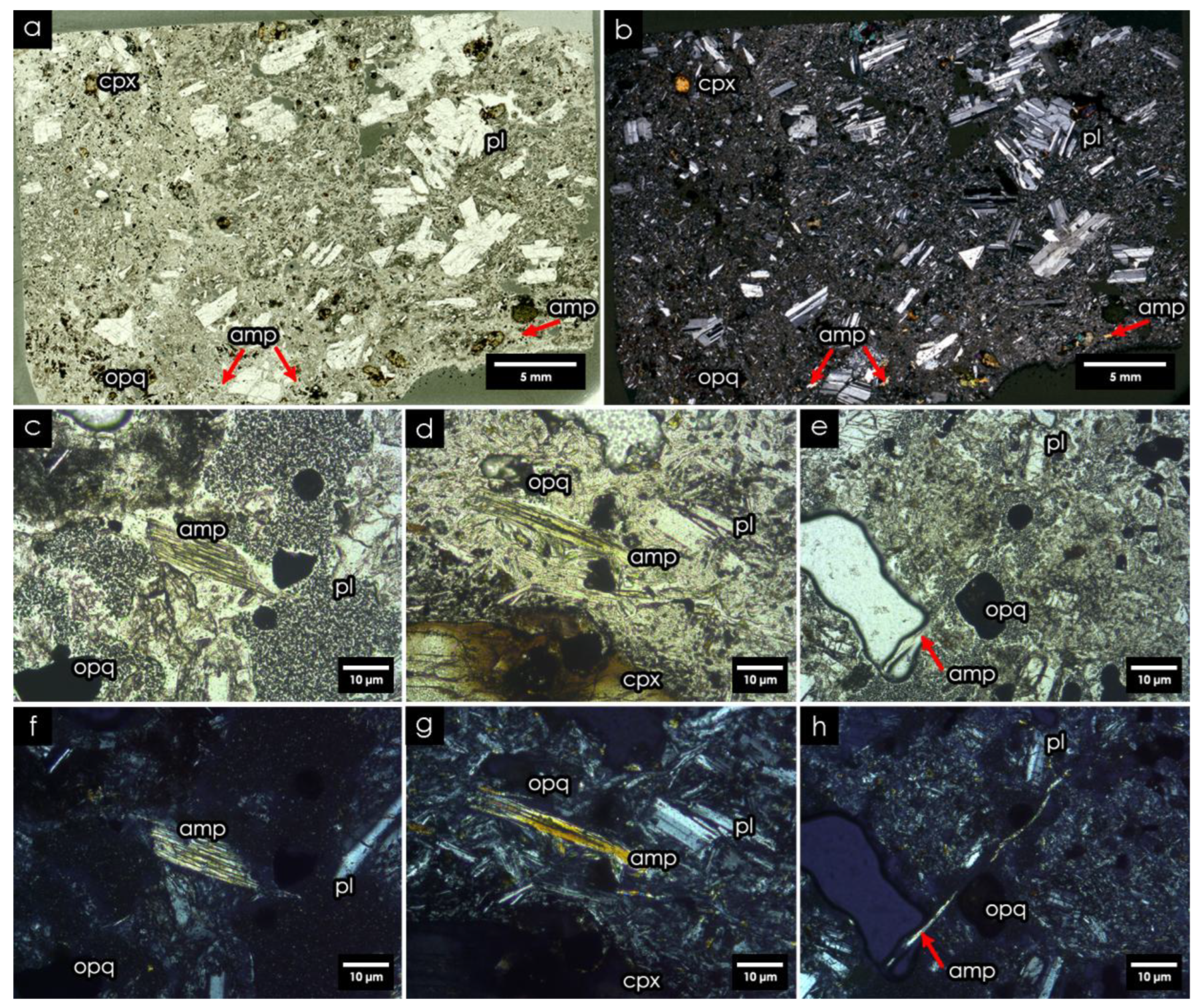 Preprints 186895 g004