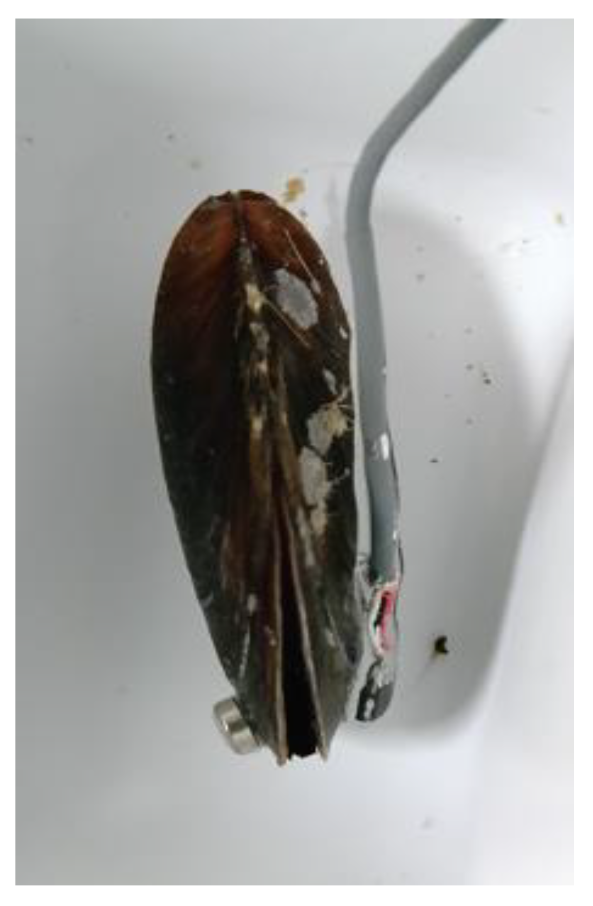 Preprints 161043 g002