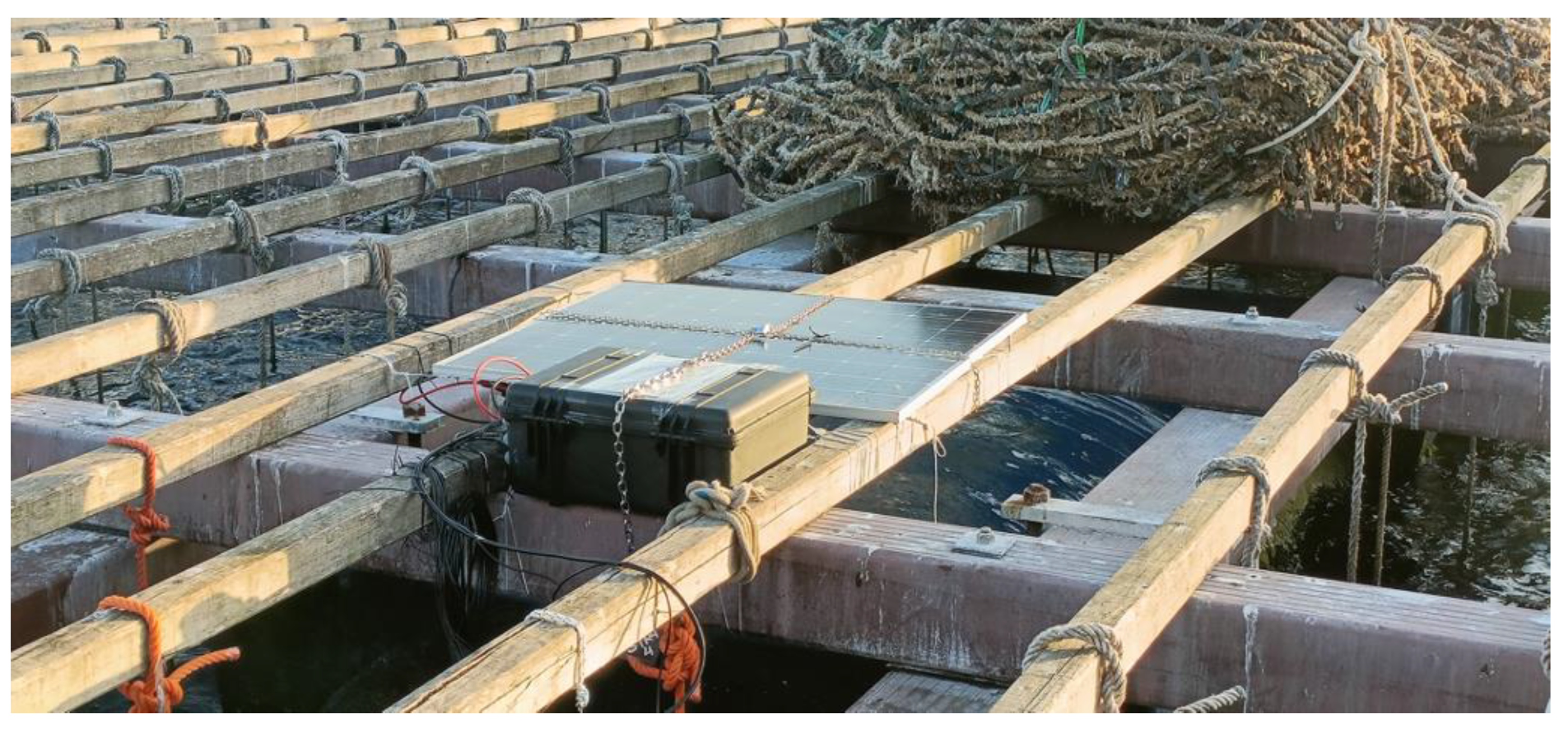 Preprints 161043 g004b