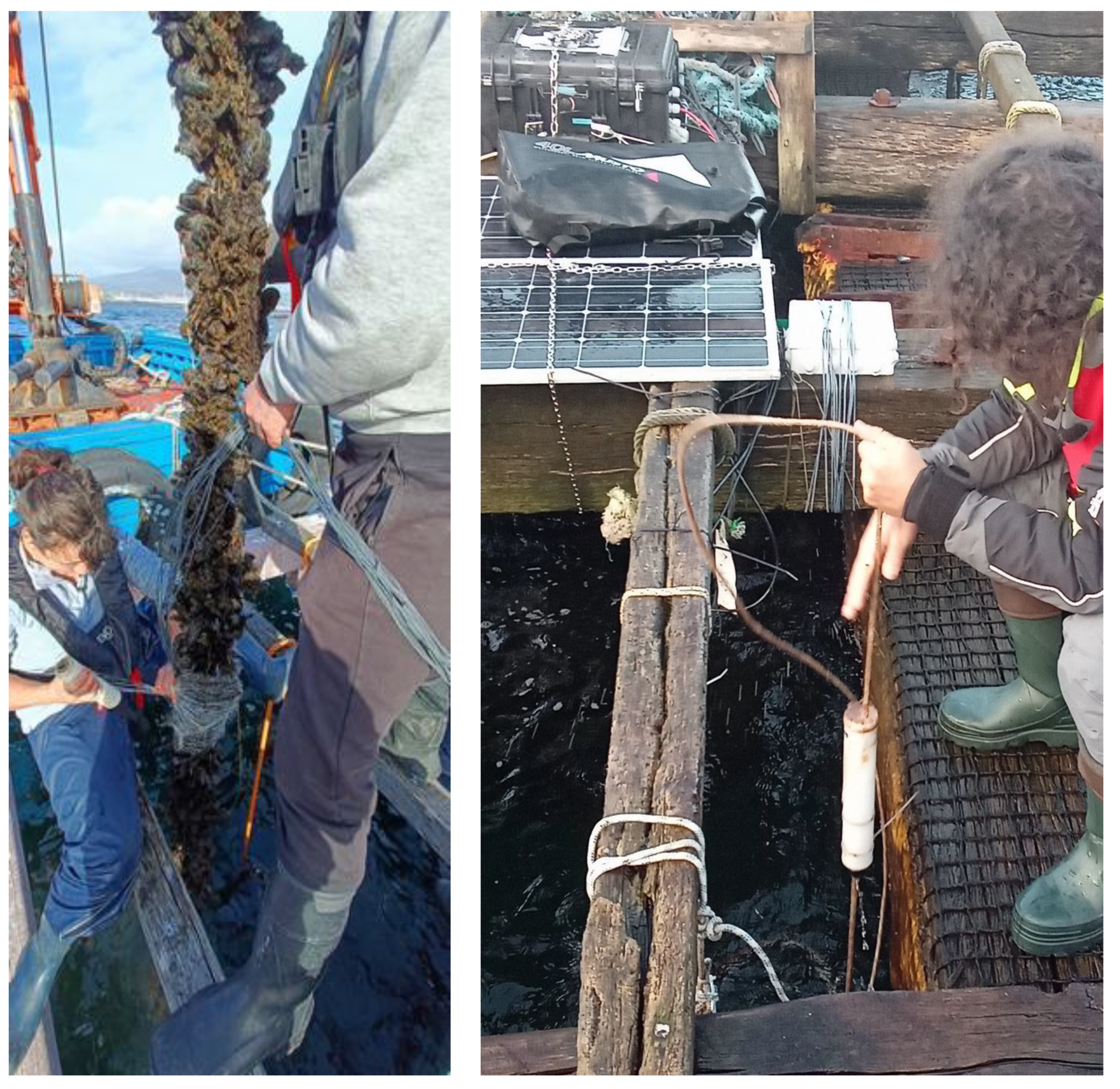 Preprints 161043 g005