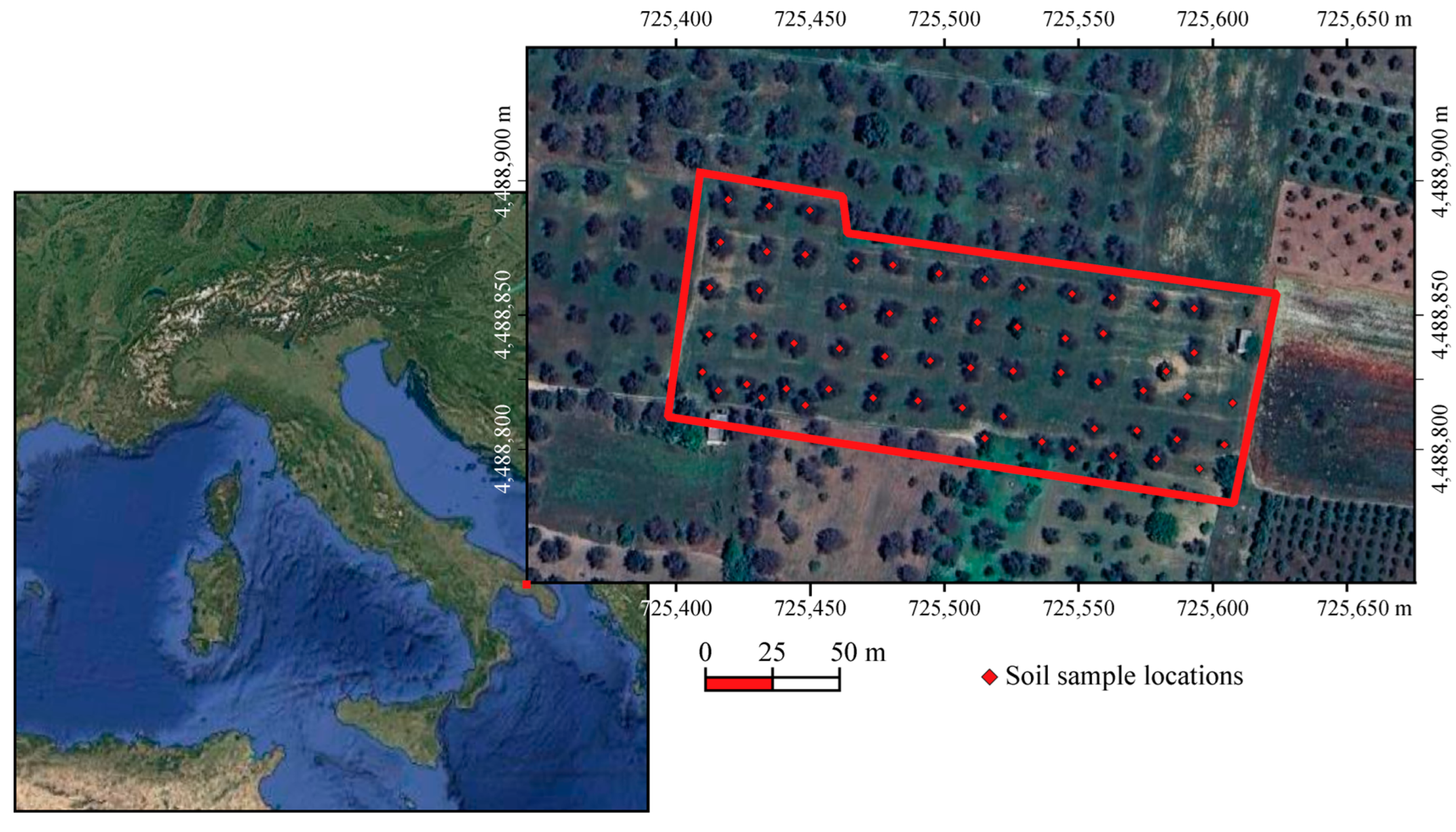 Preprints 141546 g001