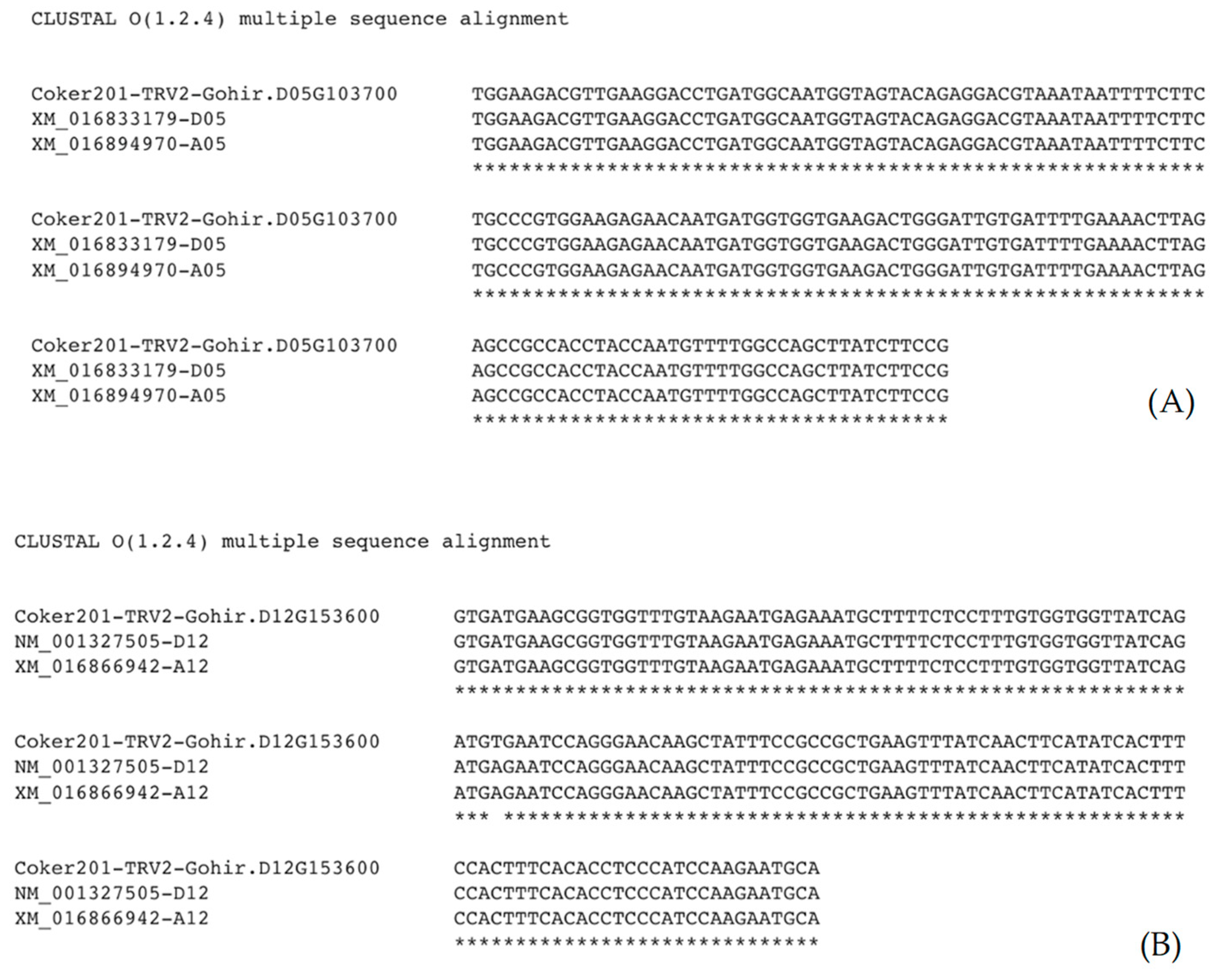 Preprints 70654 g002